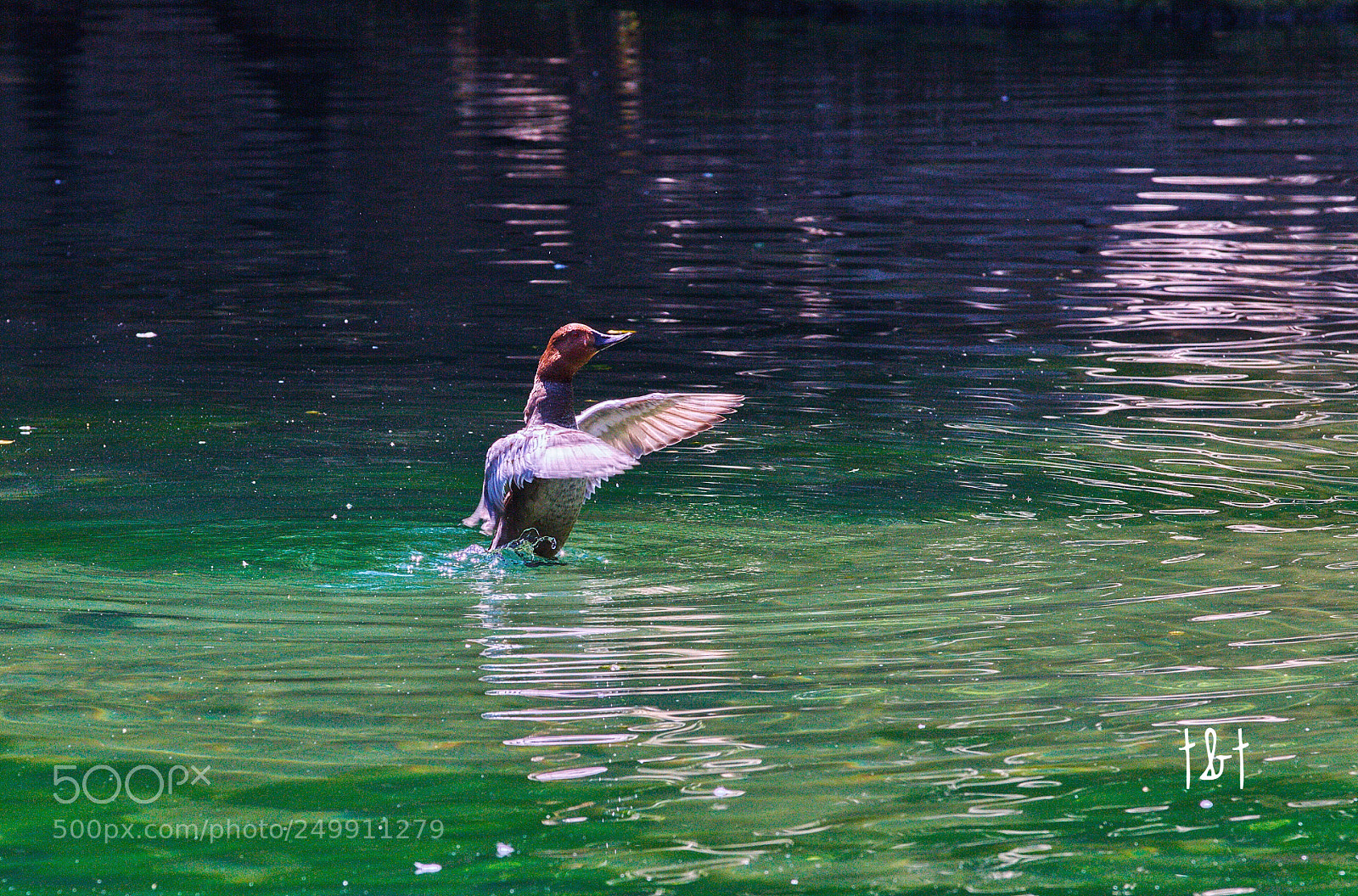 Canon EOS 7D sample photo. Untitled photography