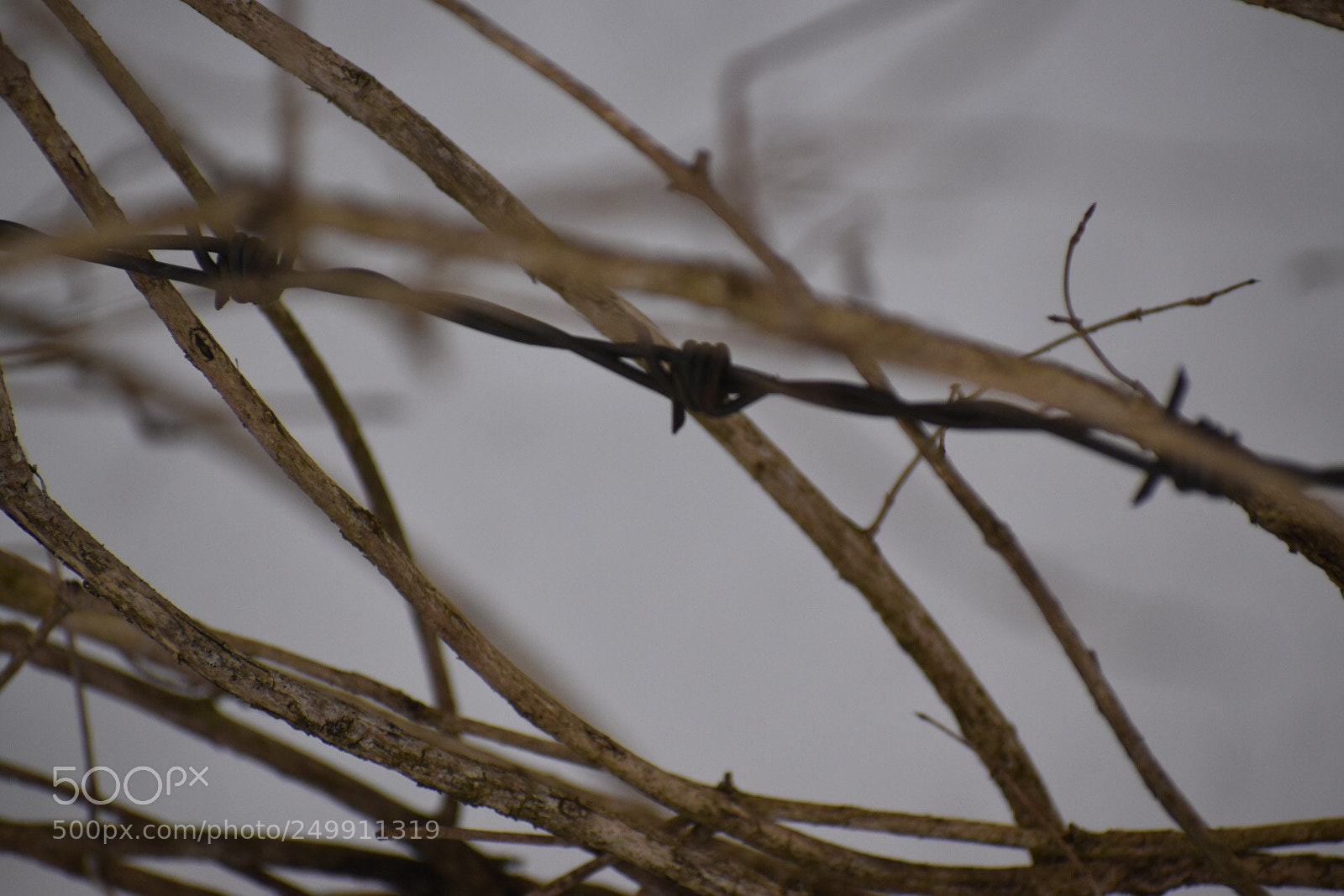 Nikon D5600 sample photo. Untitled photography