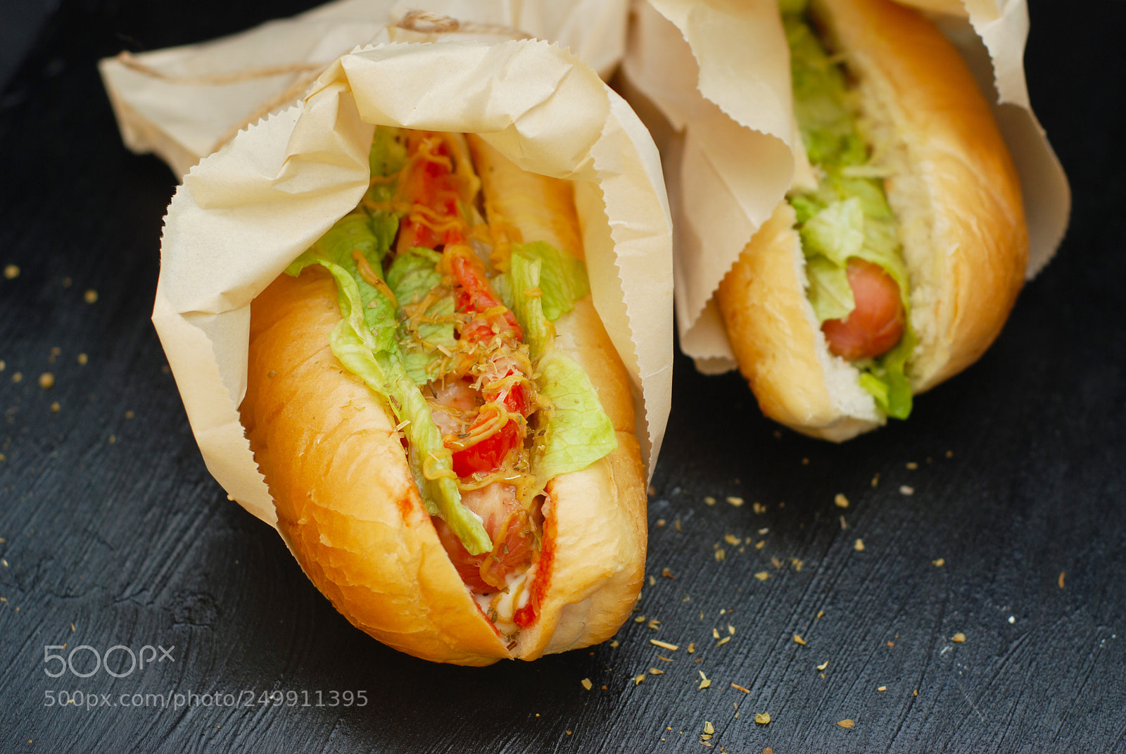 Nikon D80 sample photo. Hit dogs on black photography
