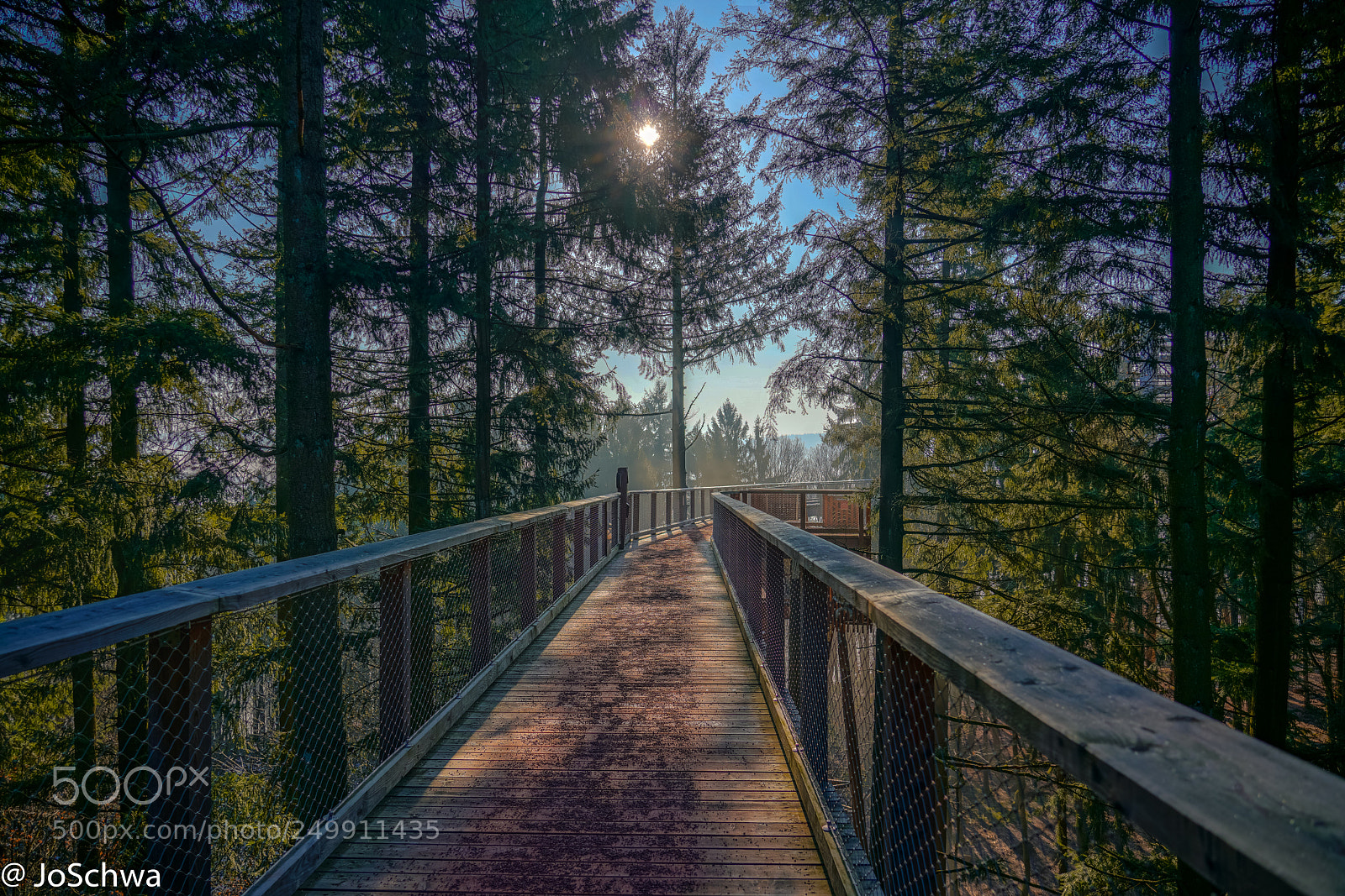 Sony a7R II sample photo. Nature highway photography