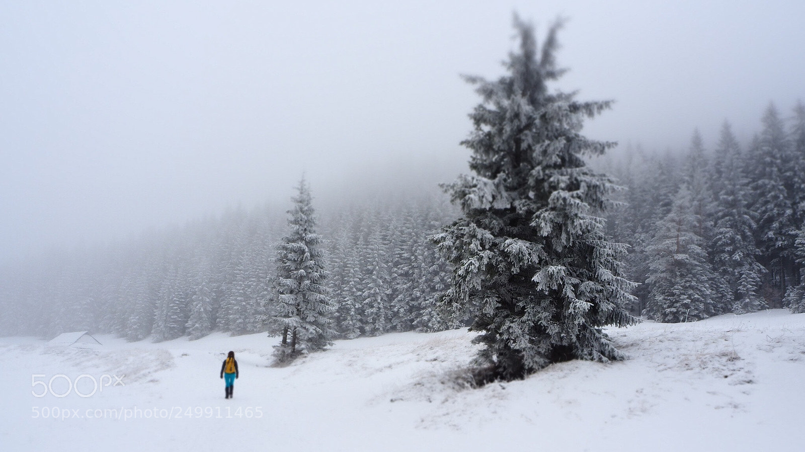Olympus OM-D E-M10 III sample photo. Silent hill photography