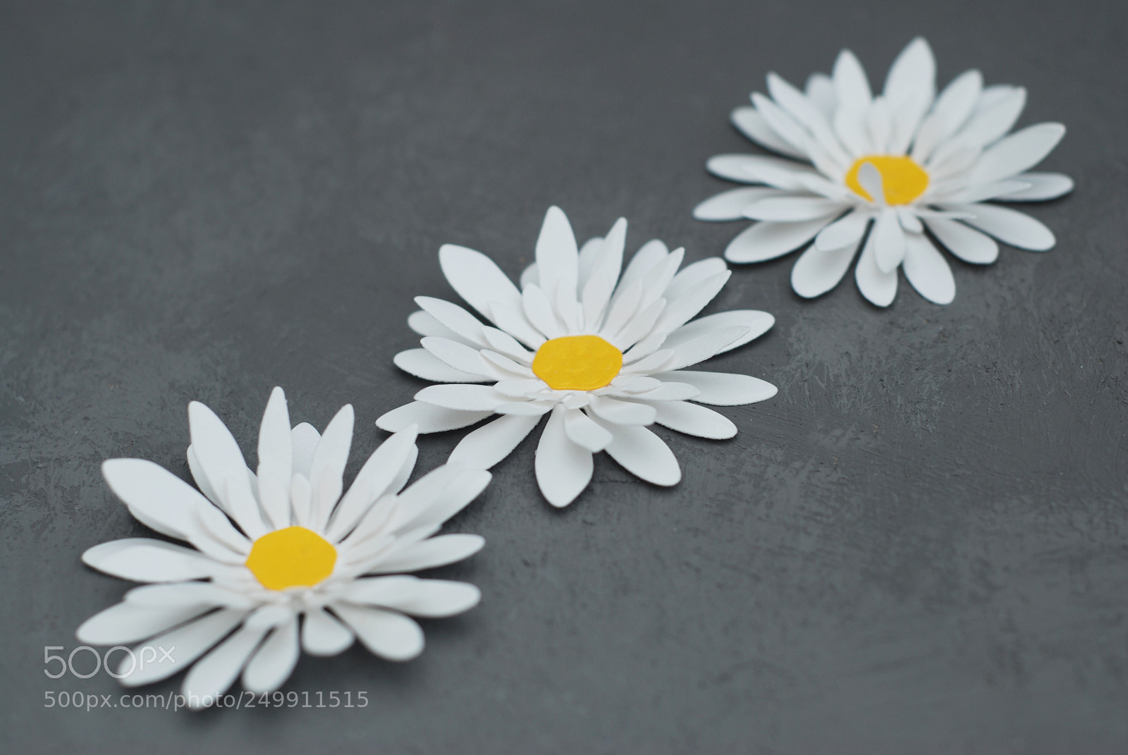 Nikon D80 sample photo. White artificial fake chamomile photography