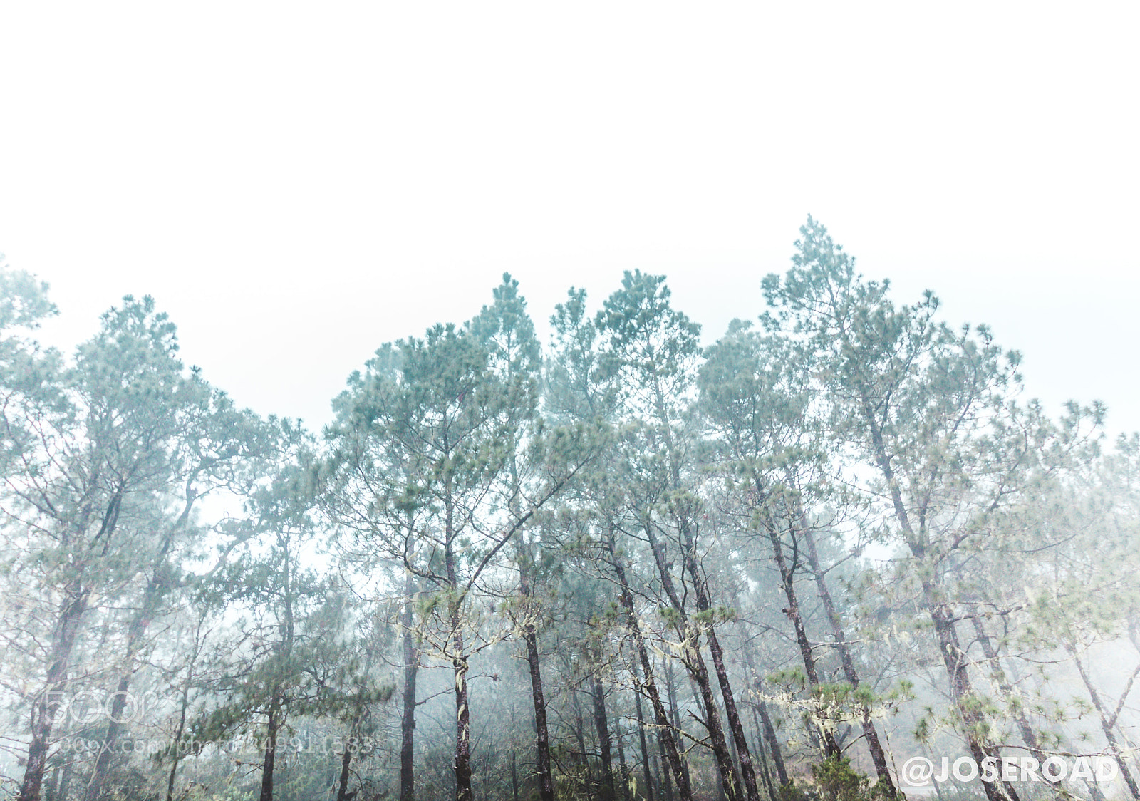 Canon EOS 60D sample photo. Lost in valle nuevo photography