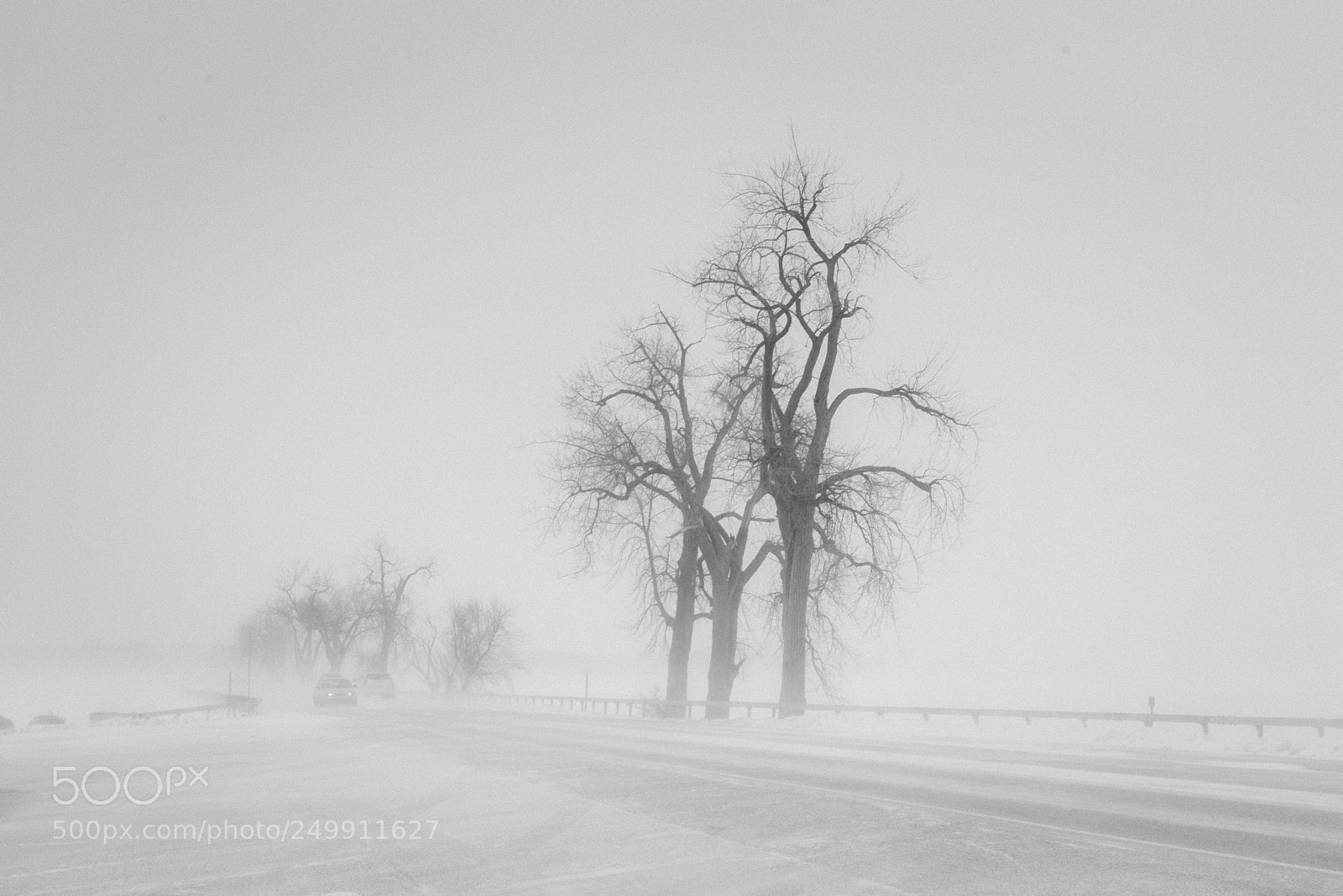 Nikon D810 sample photo. Snow storm photography