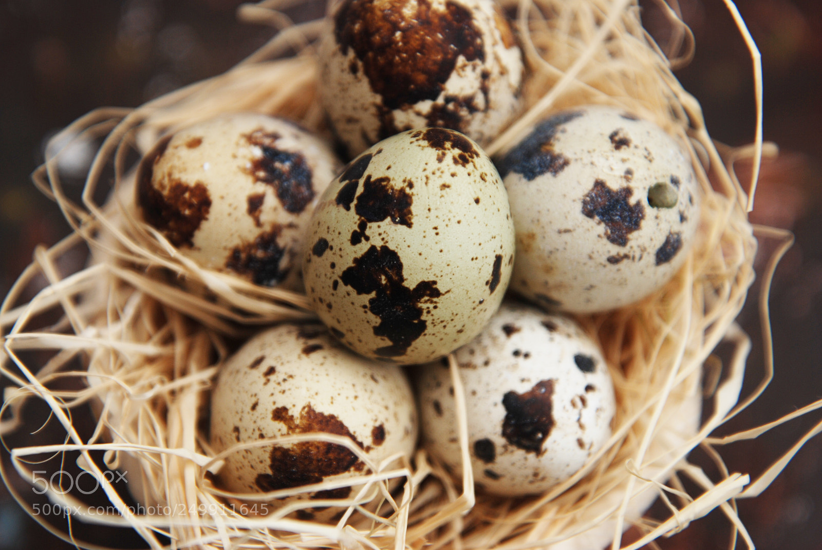 Nikon D80 sample photo. Close up quail eggs photography