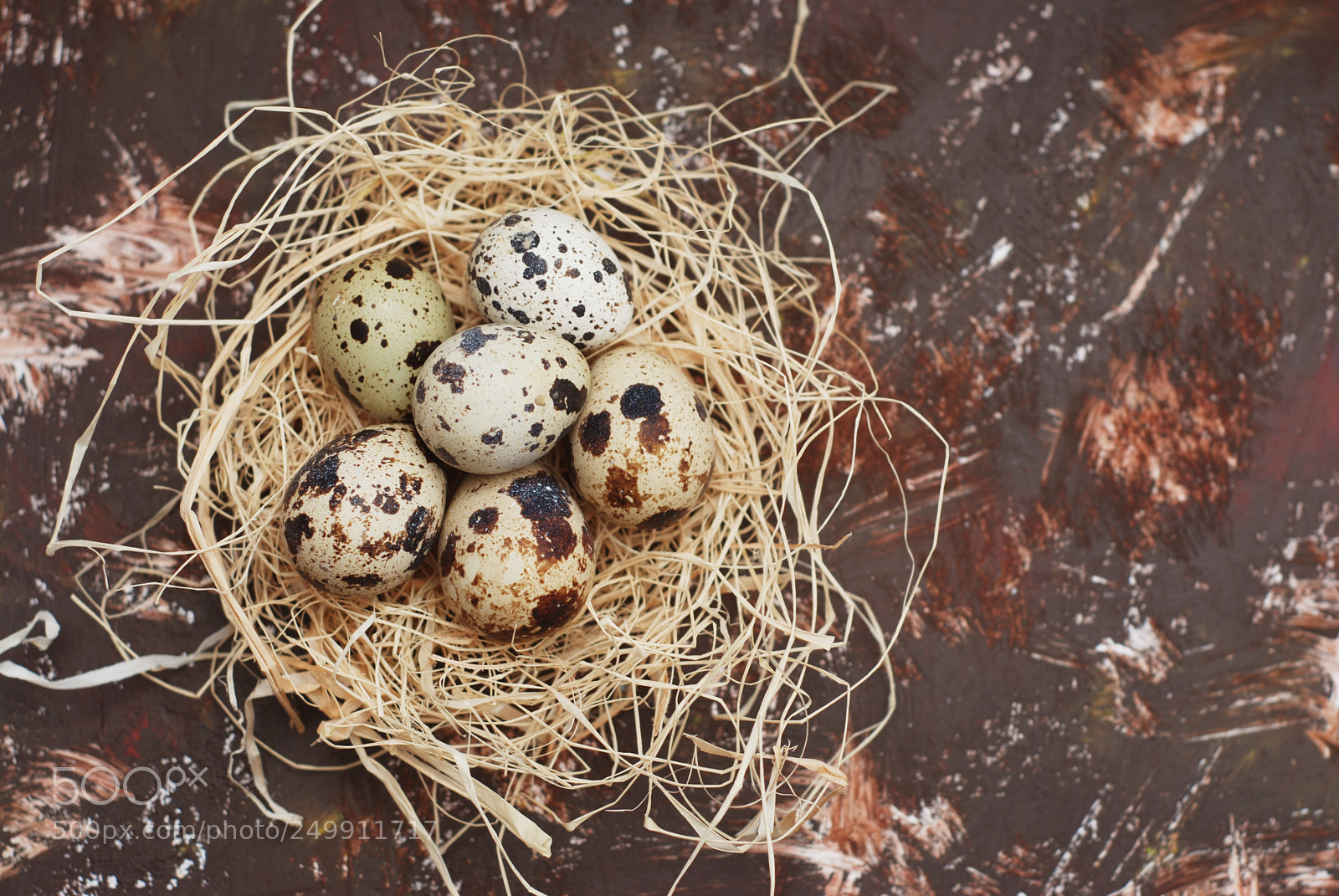 Nikon D80 sample photo. Easter eggs in bird photography