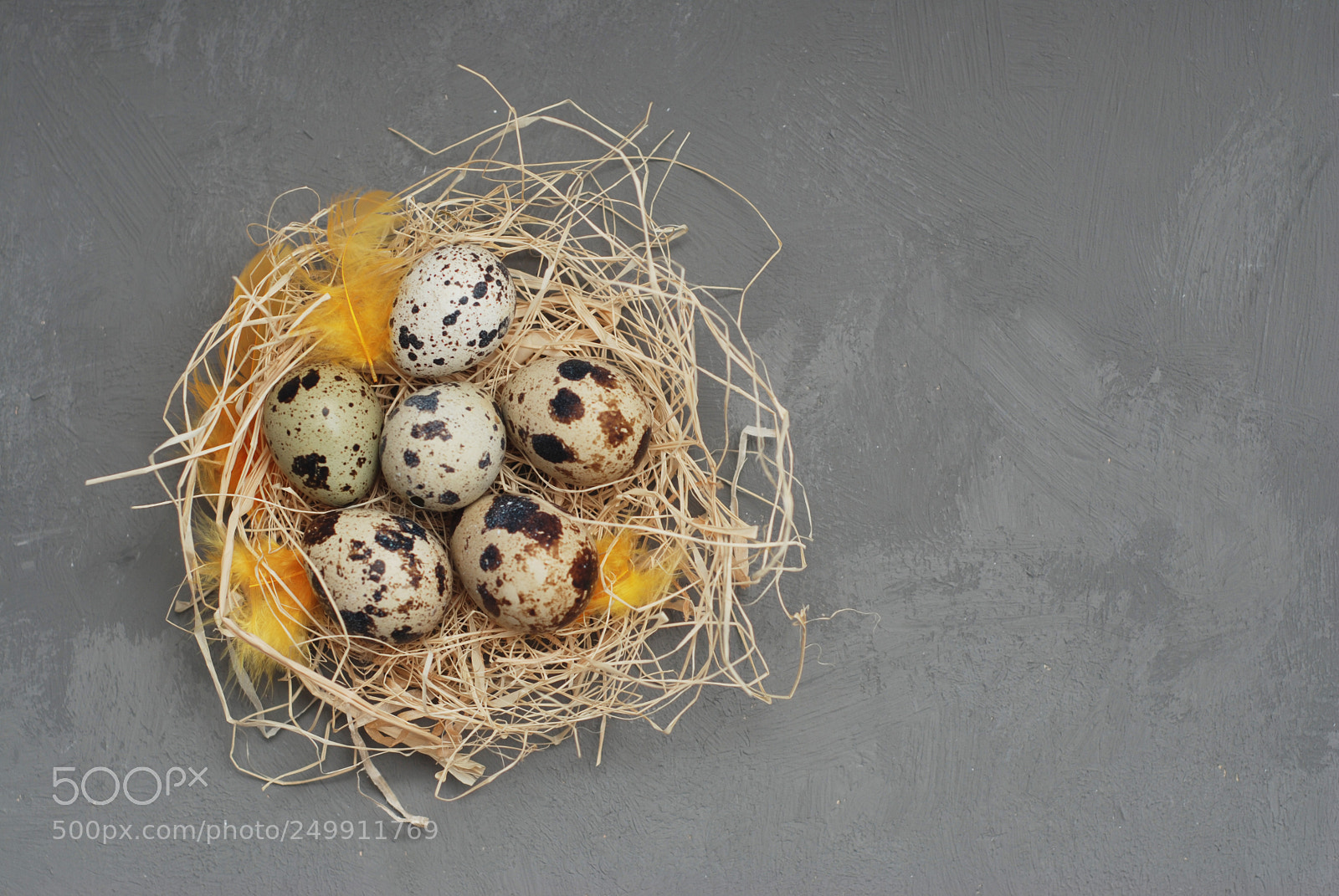 Nikon D80 sample photo. Quail eggs in nest photography