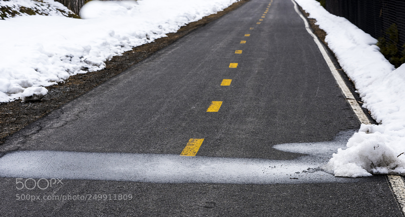 Nikon D810 sample photo. Marche au printemps ii photography
