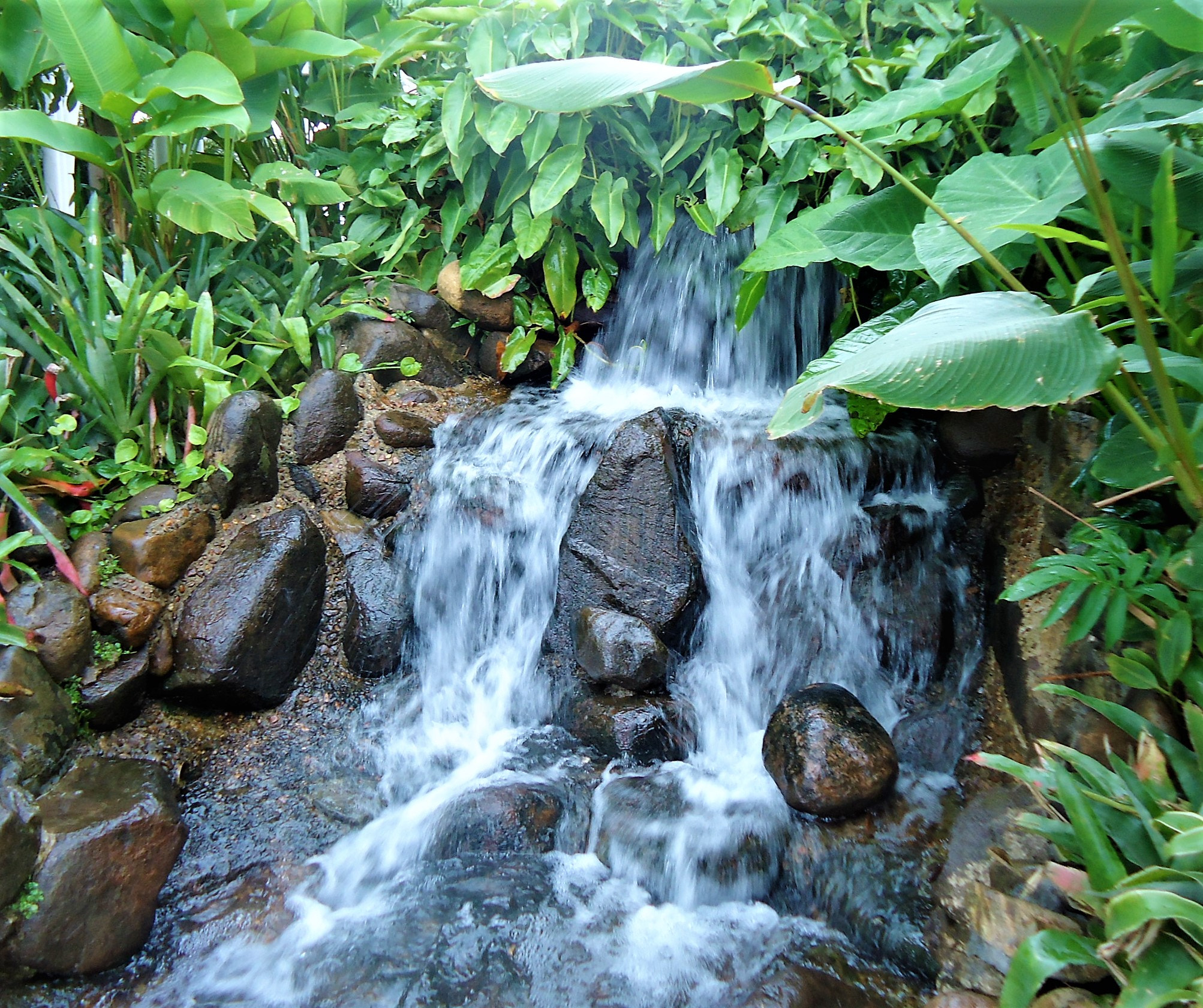 Sony Cyber-shot DSC-W320 sample photo. Mini waterfall photography