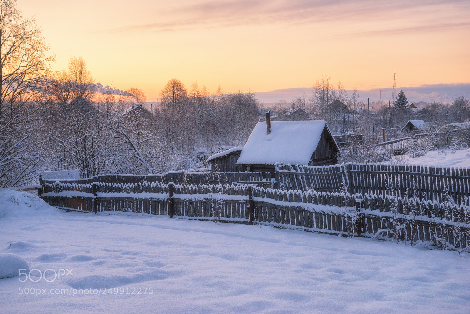 Nikon D610 sample photo. 875. frosty morning photography