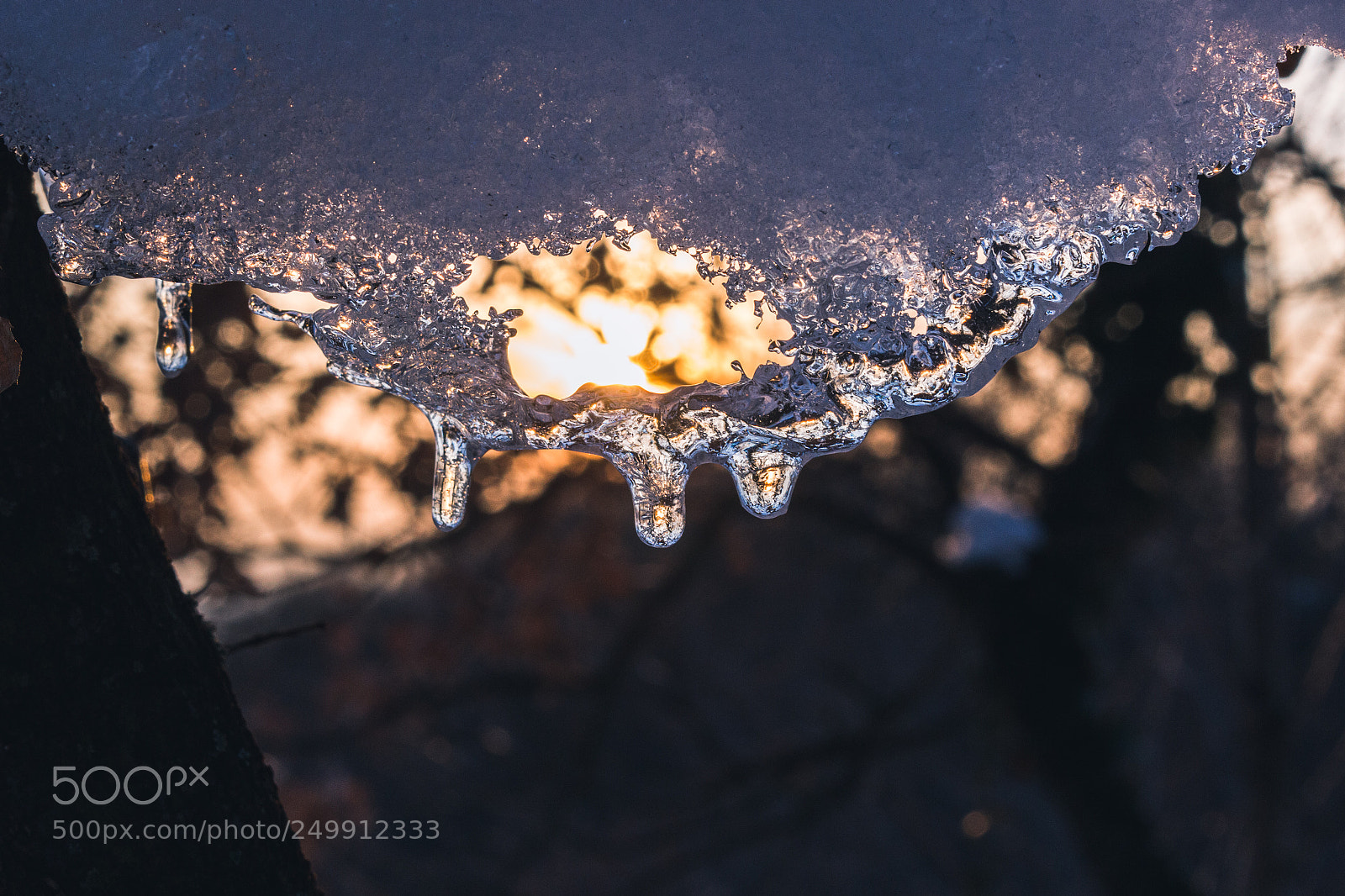 Canon EOS 100D (EOS Rebel SL1 / EOS Kiss X7) sample photo. Icy photography