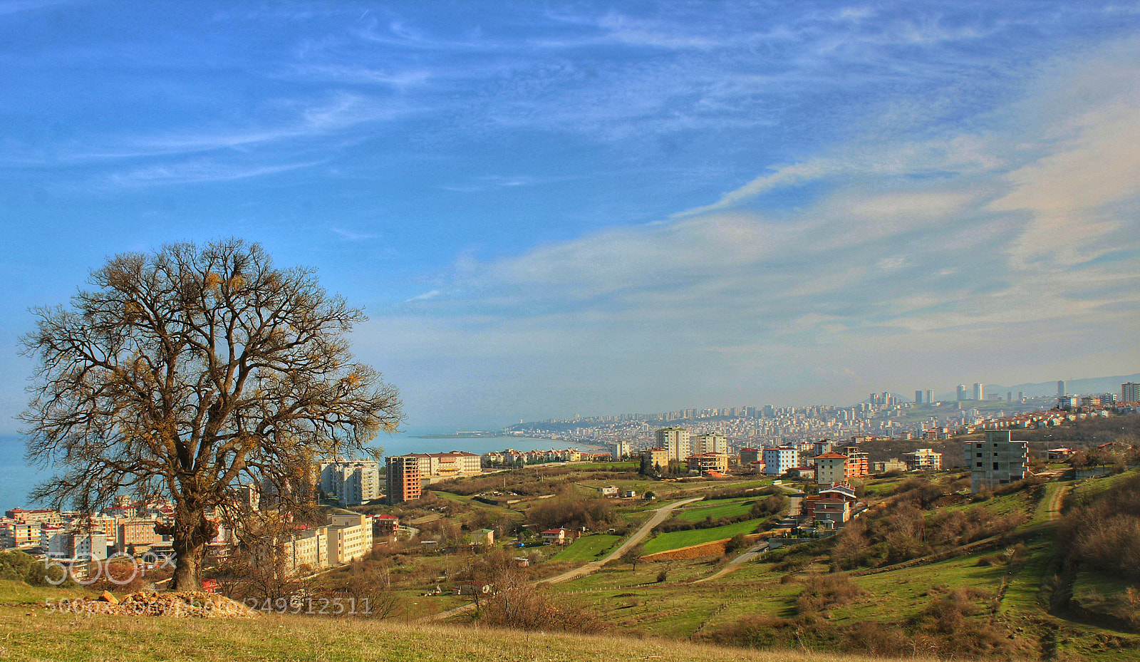Canon EOS 1200D (EOS Rebel T5 / EOS Kiss X70 / EOS Hi) sample photo. Samsun photography