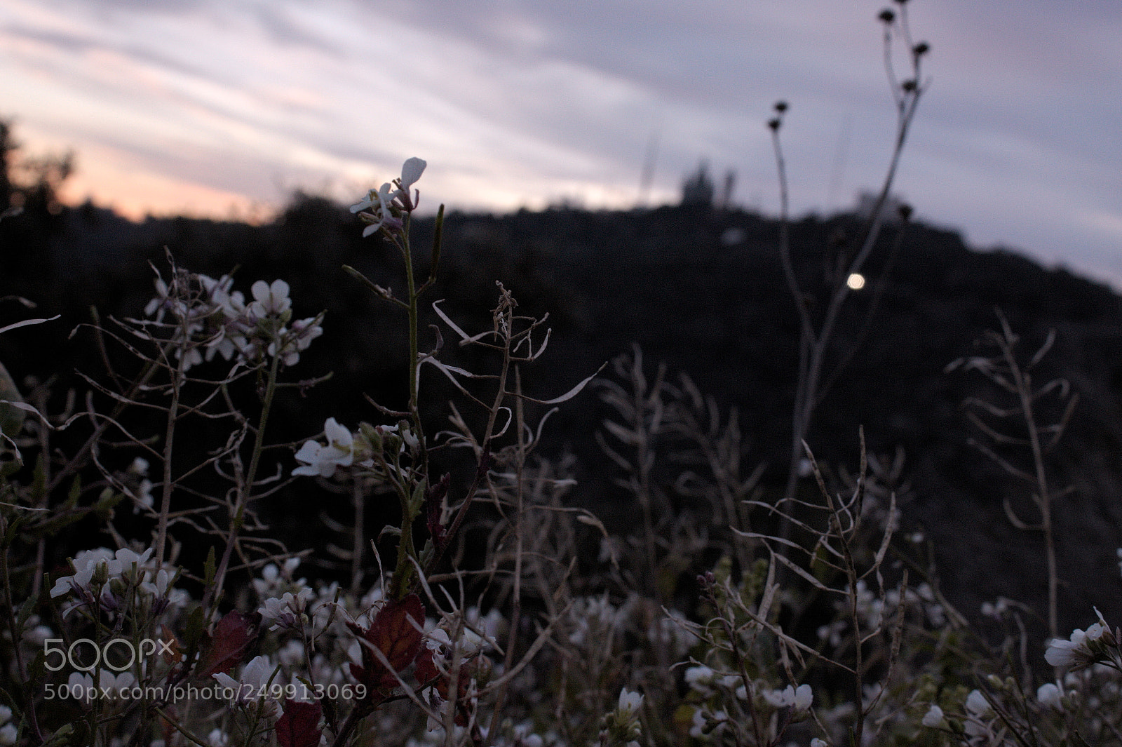 Canon EOS 1300D (EOS Rebel T6 / EOS Kiss X80) sample photo. Abuso de poder, donde?? photography