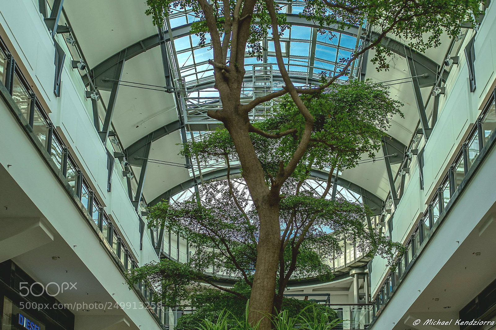 Sony a7 II sample photo. Nature in a shoping photography
