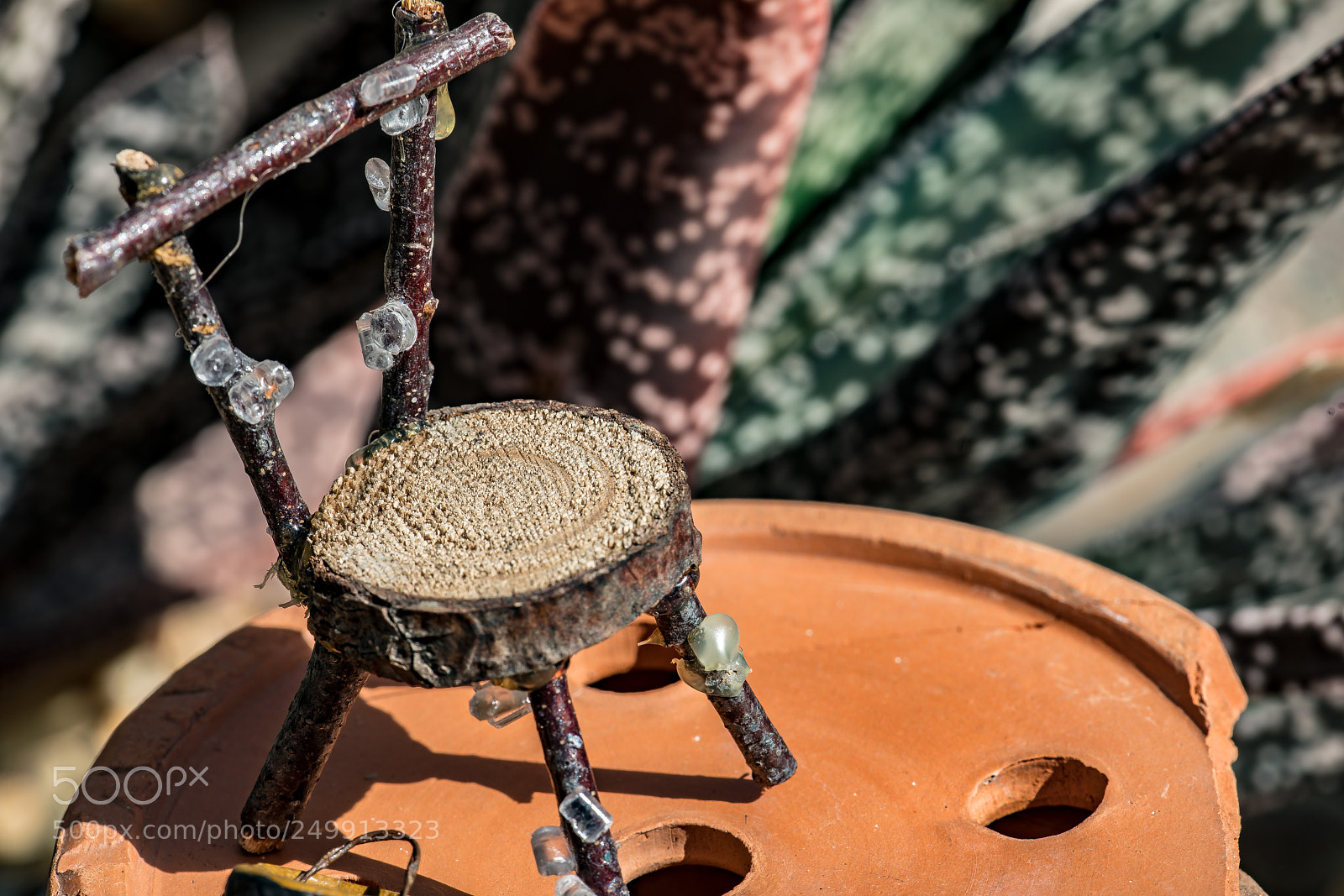Sony a7R II sample photo. Have a seat photography