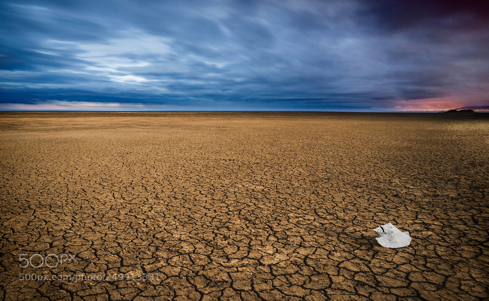 Nikon D610 sample photo. Drought photography