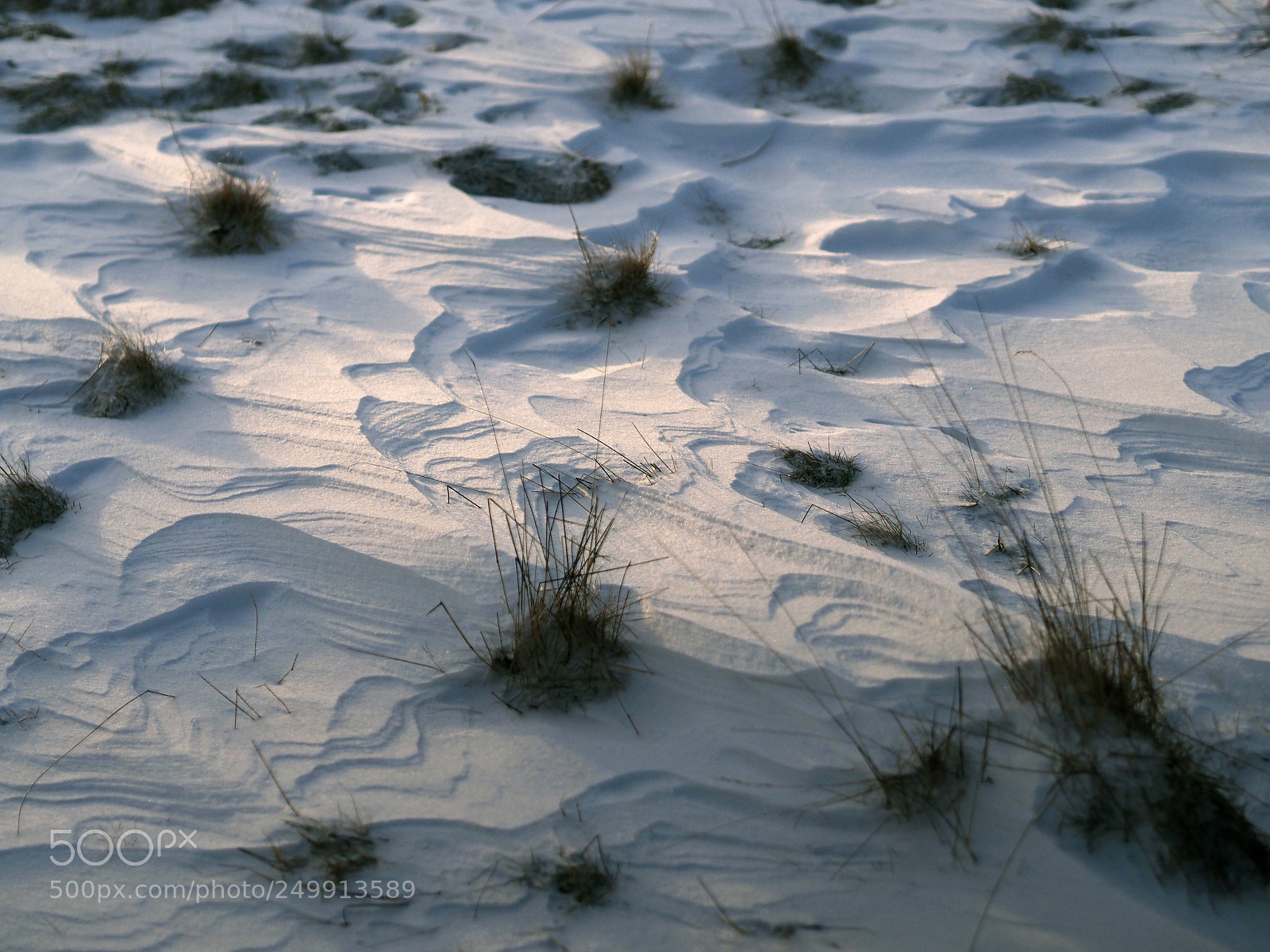 Olympus OM-D E-M10 sample photo. Snow structures photography