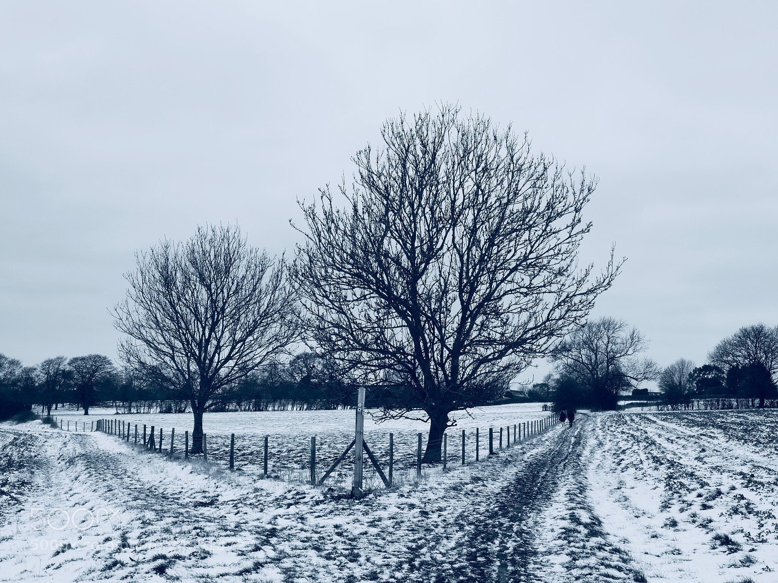 Panasonic Lumix DC-G9 sample photo. March winter photography
