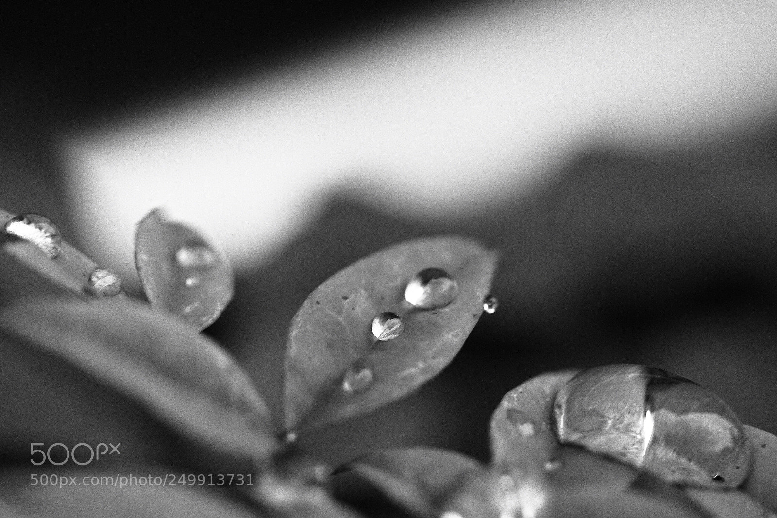Canon EOS 7D sample photo. Untitled photography