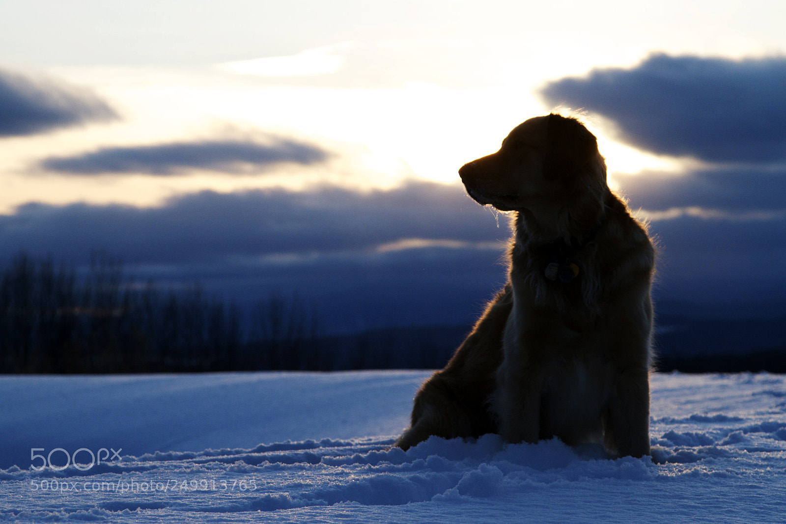 Canon EOS 7D sample photo. Riley photography