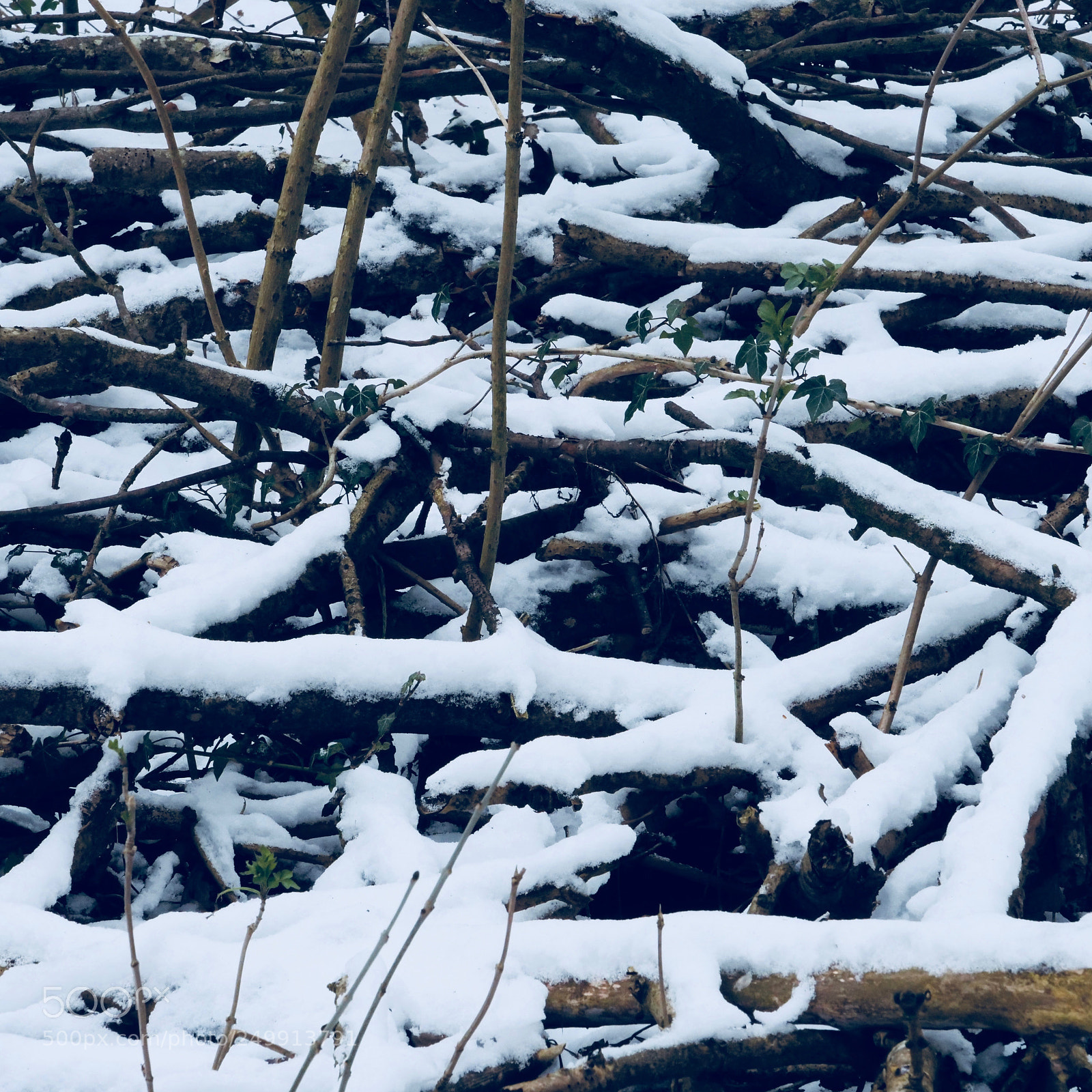 Panasonic Lumix DC-G9 sample photo. March winter photography