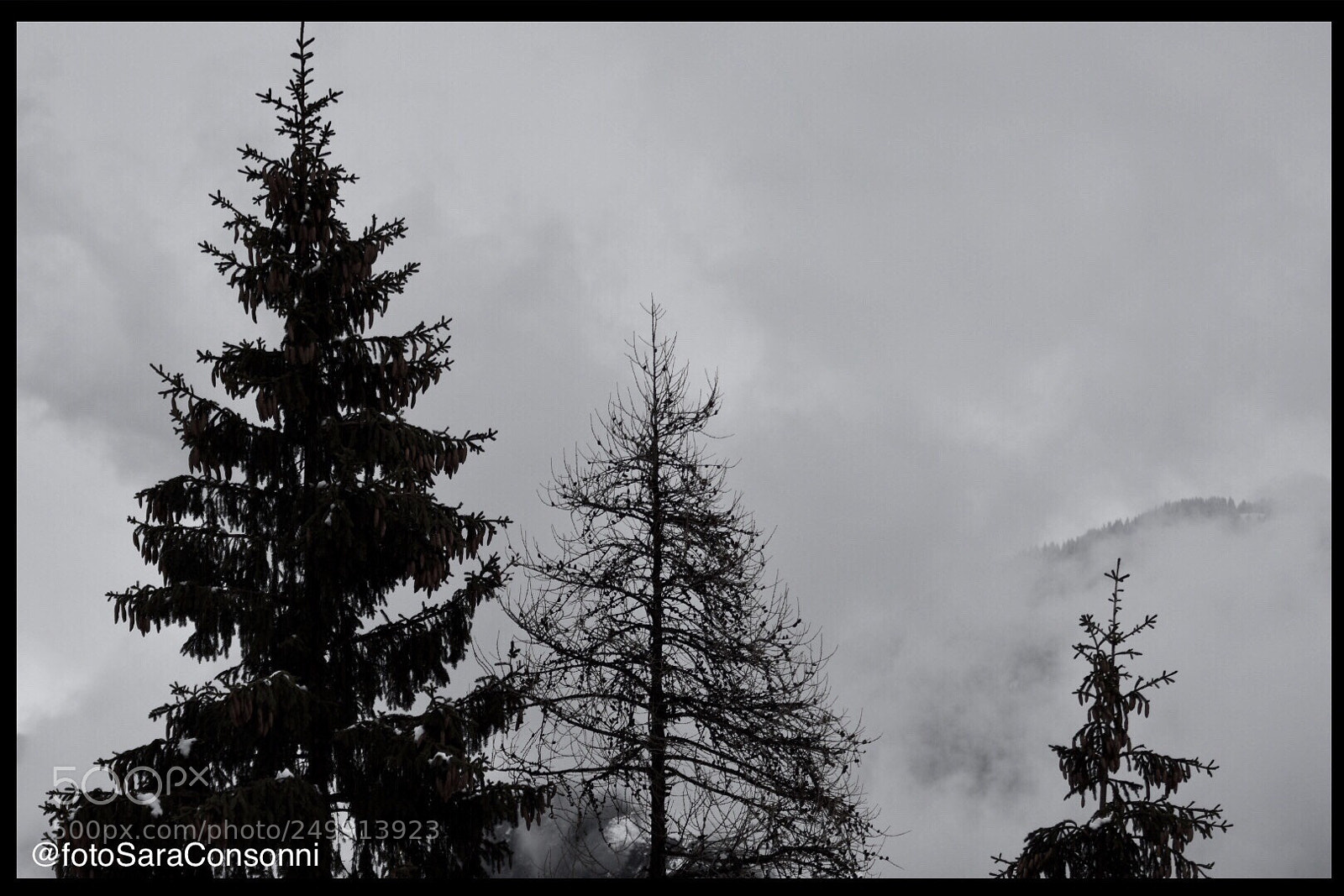 Nikon D7200 sample photo. Tre pini photography