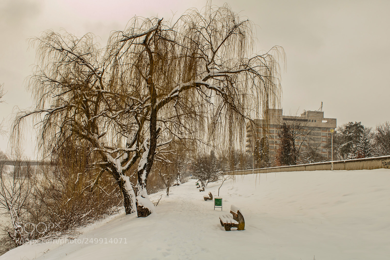 Canon EOS 750D (EOS Rebel T6i / EOS Kiss X8i) sample photo. Winter new episode photography