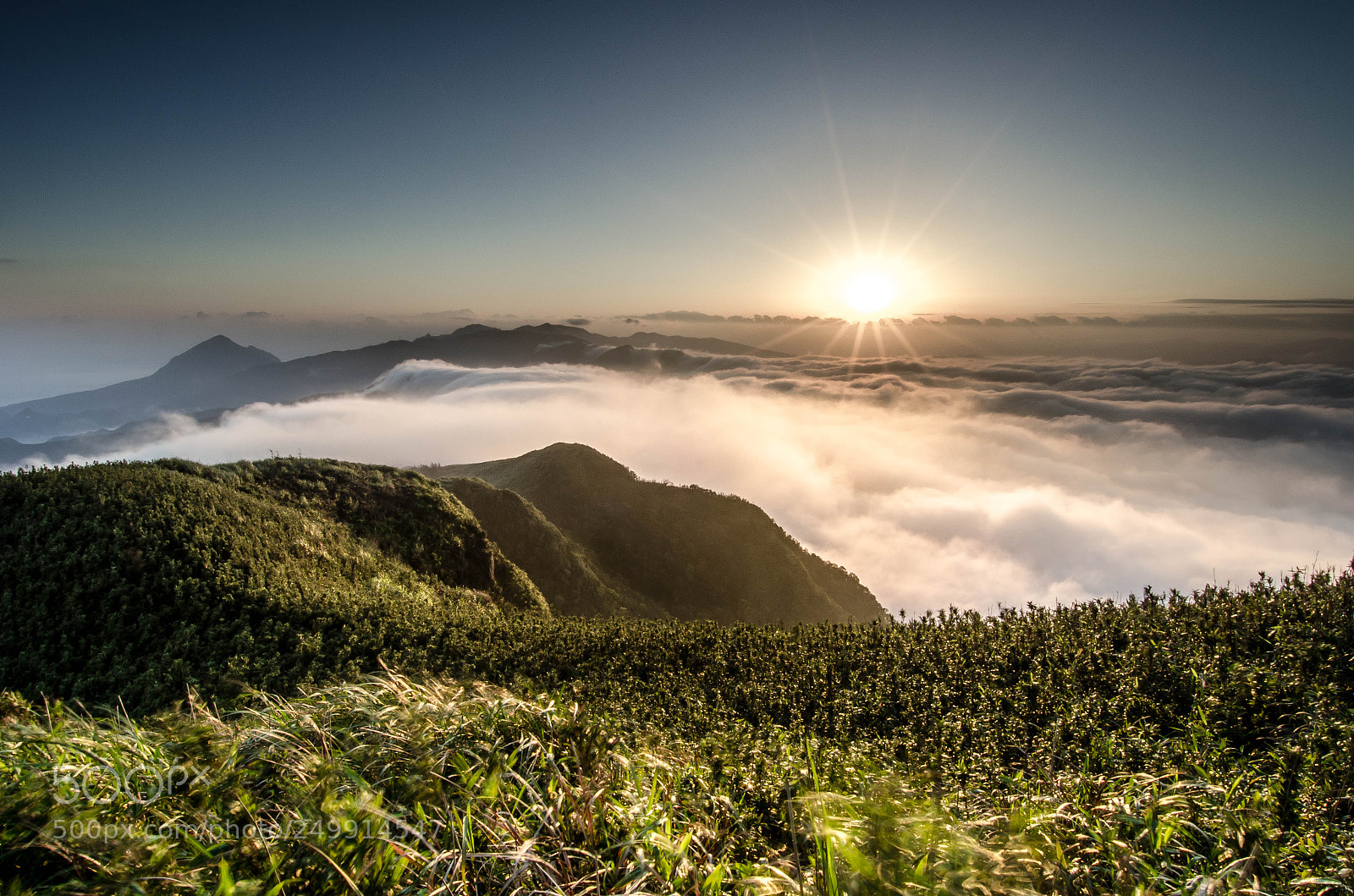 Nikon D7000 sample photo. 新北市/五分山 photography