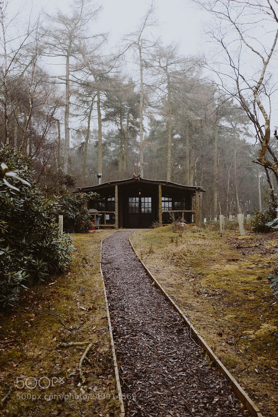 Fujifilm X100F sample photo. Cabin in the woods photography