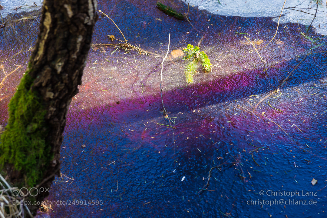 Nikon D7200 sample photo. Glowing under the ice photography