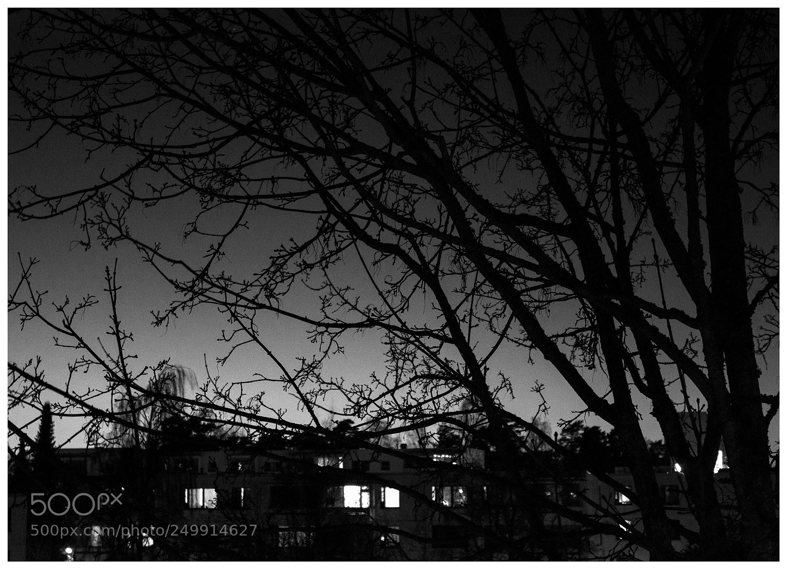 Canon EOS 500D (EOS Rebel T1i / EOS Kiss X3) sample photo. Winter night from balcony photography
