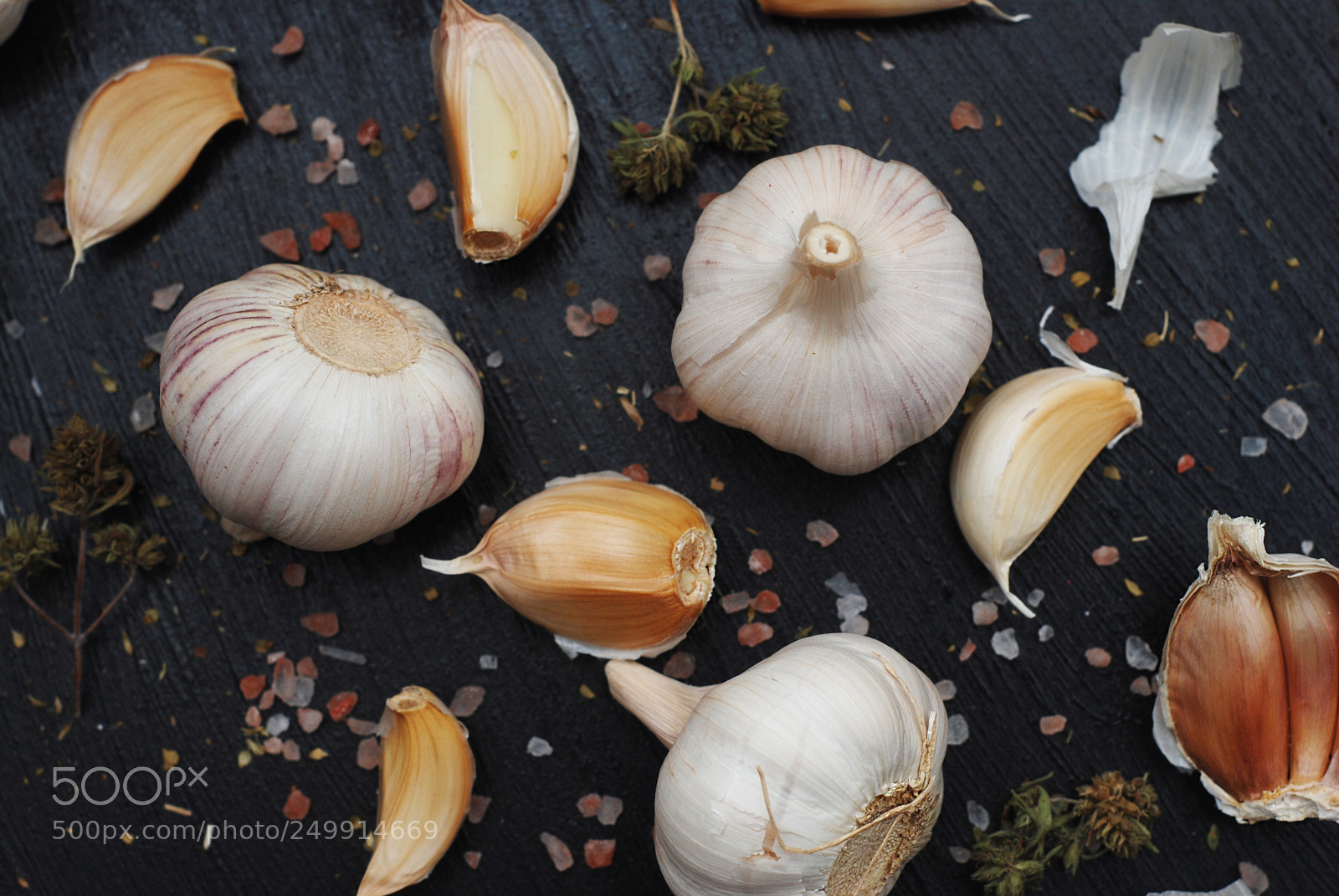 Nikon D80 sample photo. Garlic with spices on photography