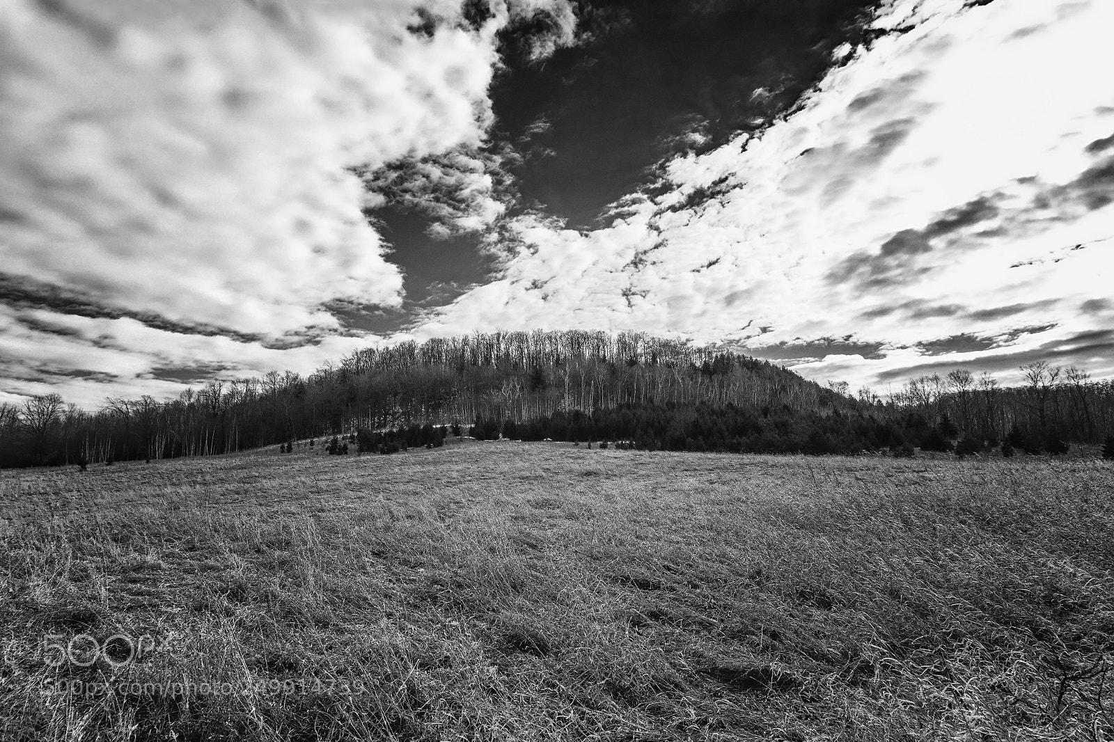 Canon EOS 550D (EOS Rebel T2i / EOS Kiss X4) sample photo. Mono cliffs photography