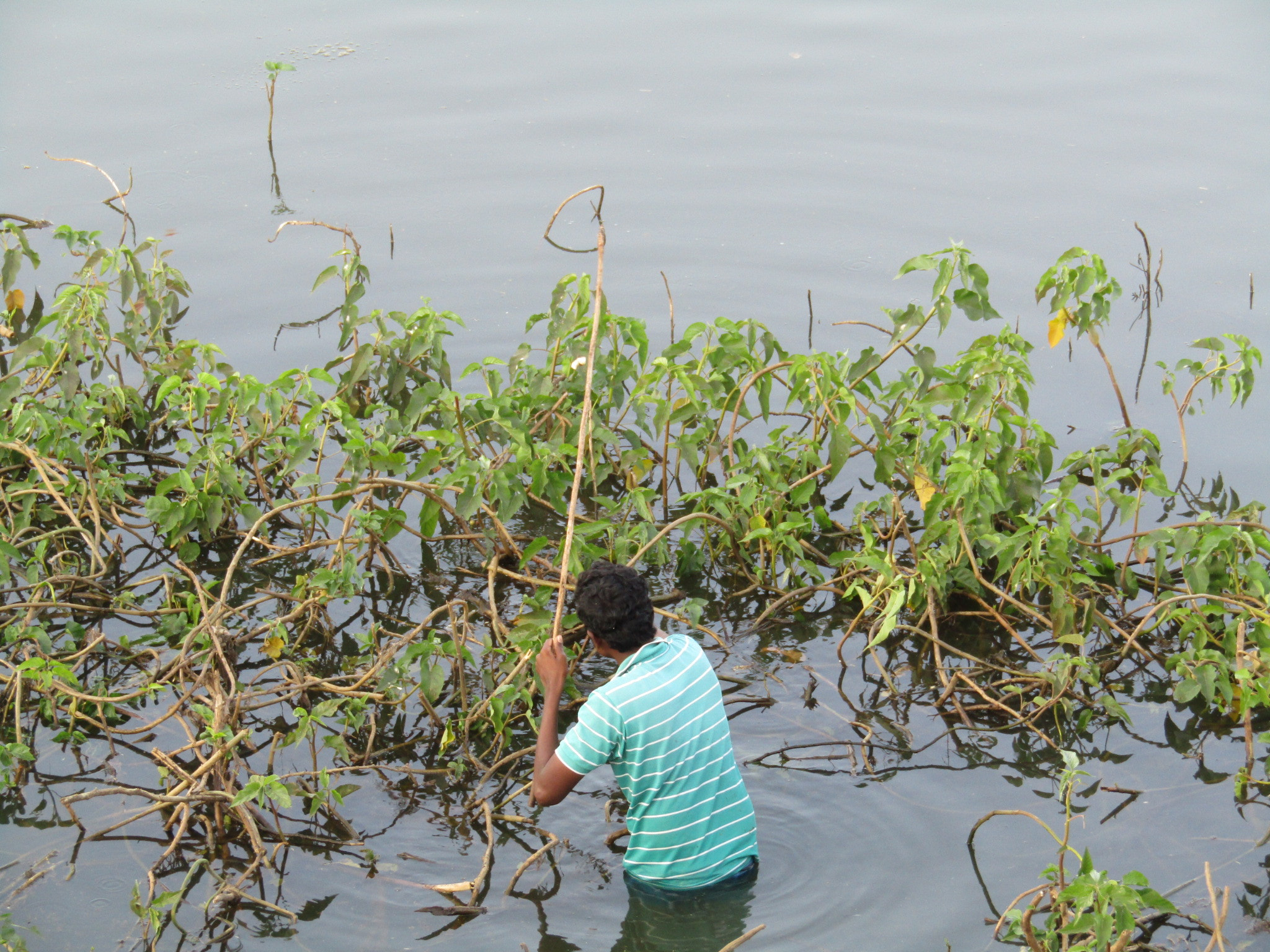 Canon POWERSHOT SX430 IS sample photo. Fishing at lake photography
