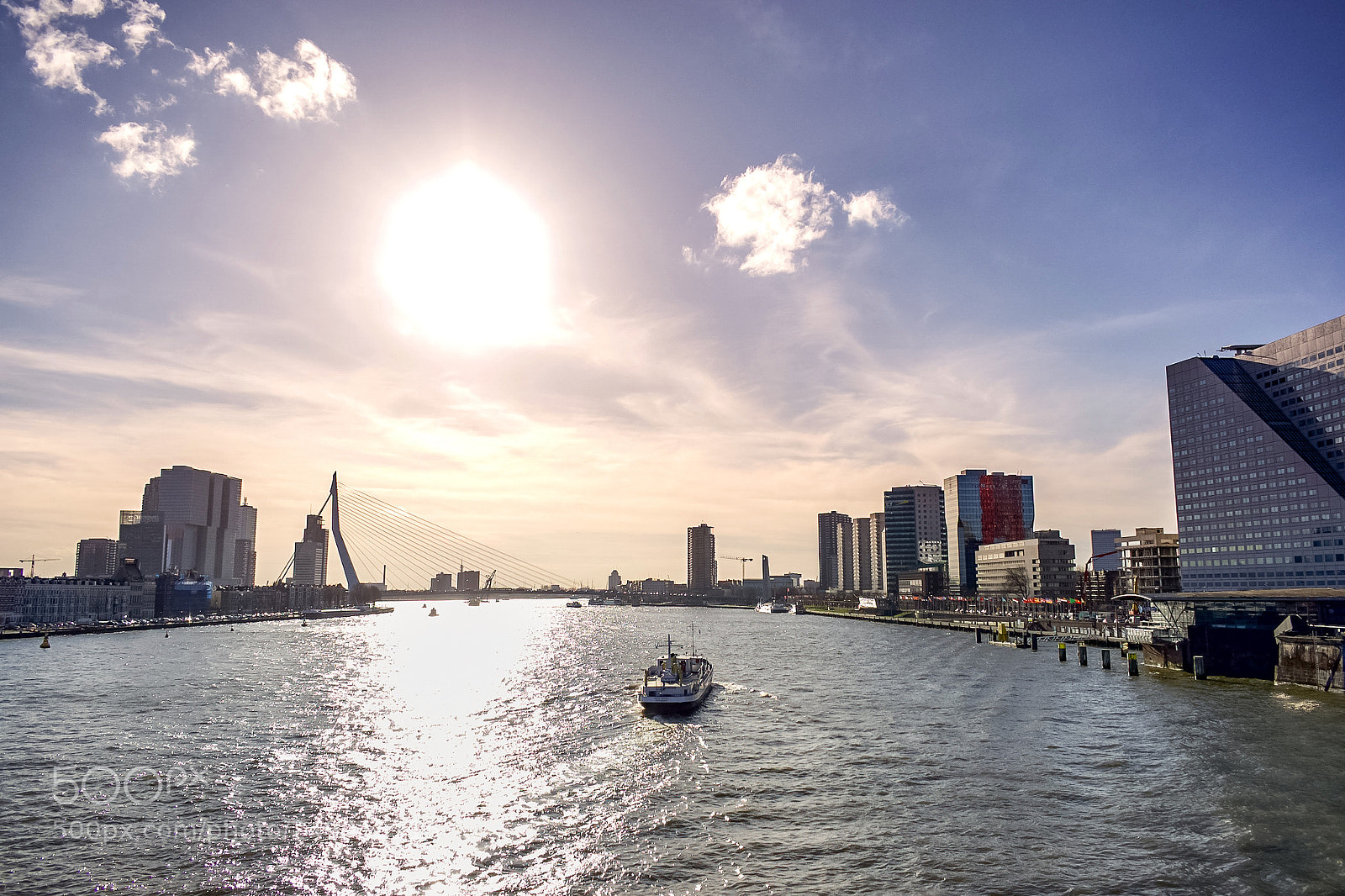Nikon D5600 sample photo. Rotterdam photography