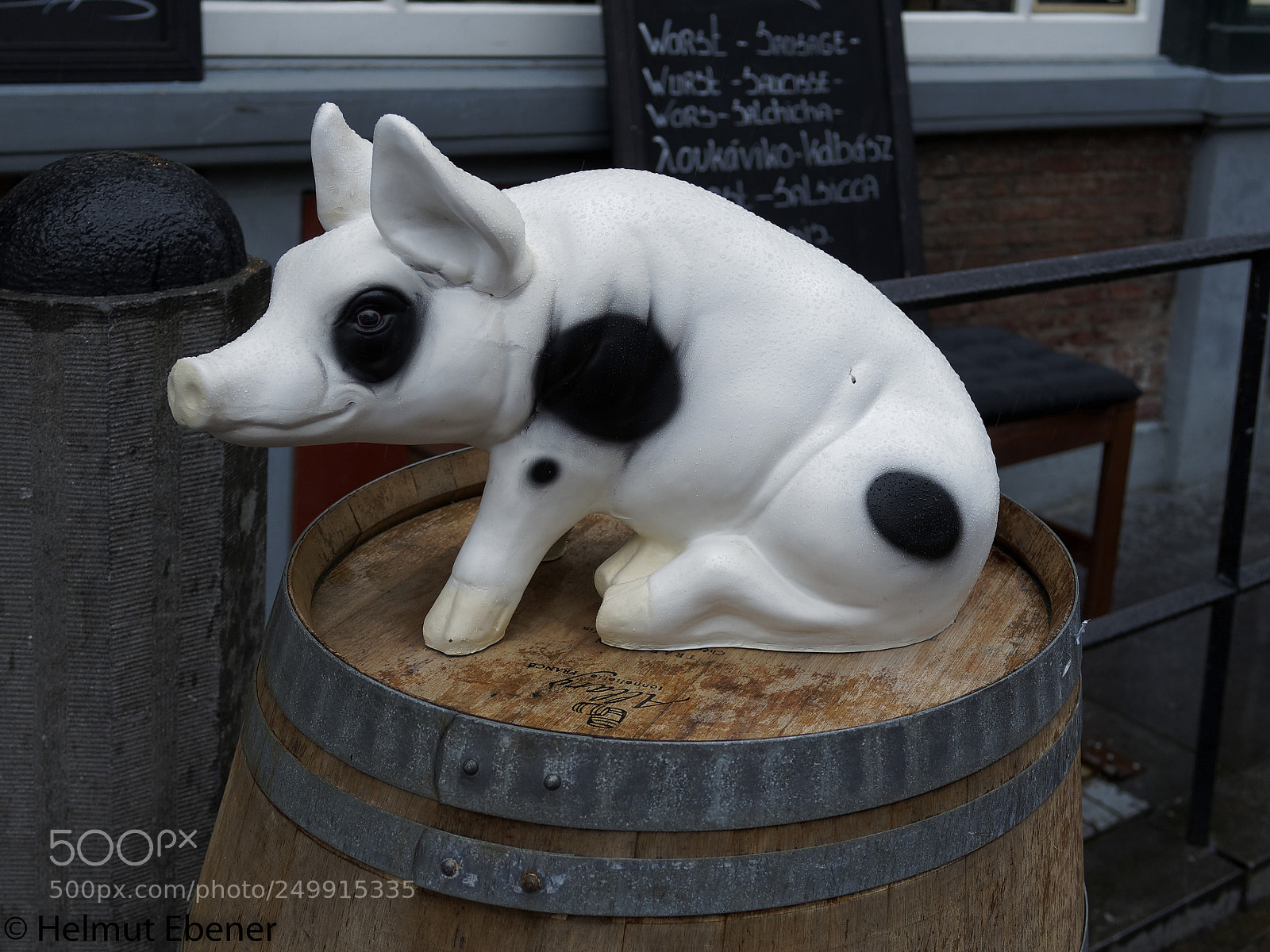 Olympus OM-D E-M5 sample photo. Delft/nl, .... schwein gehabt photography