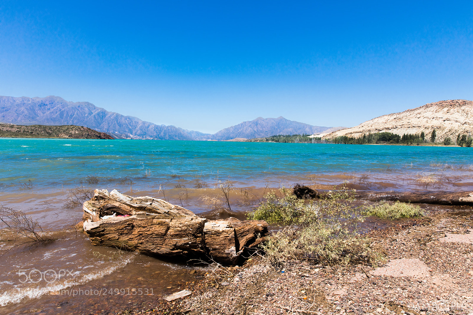 Canon EOS 5D Mark IV sample photo. Blue sky photography