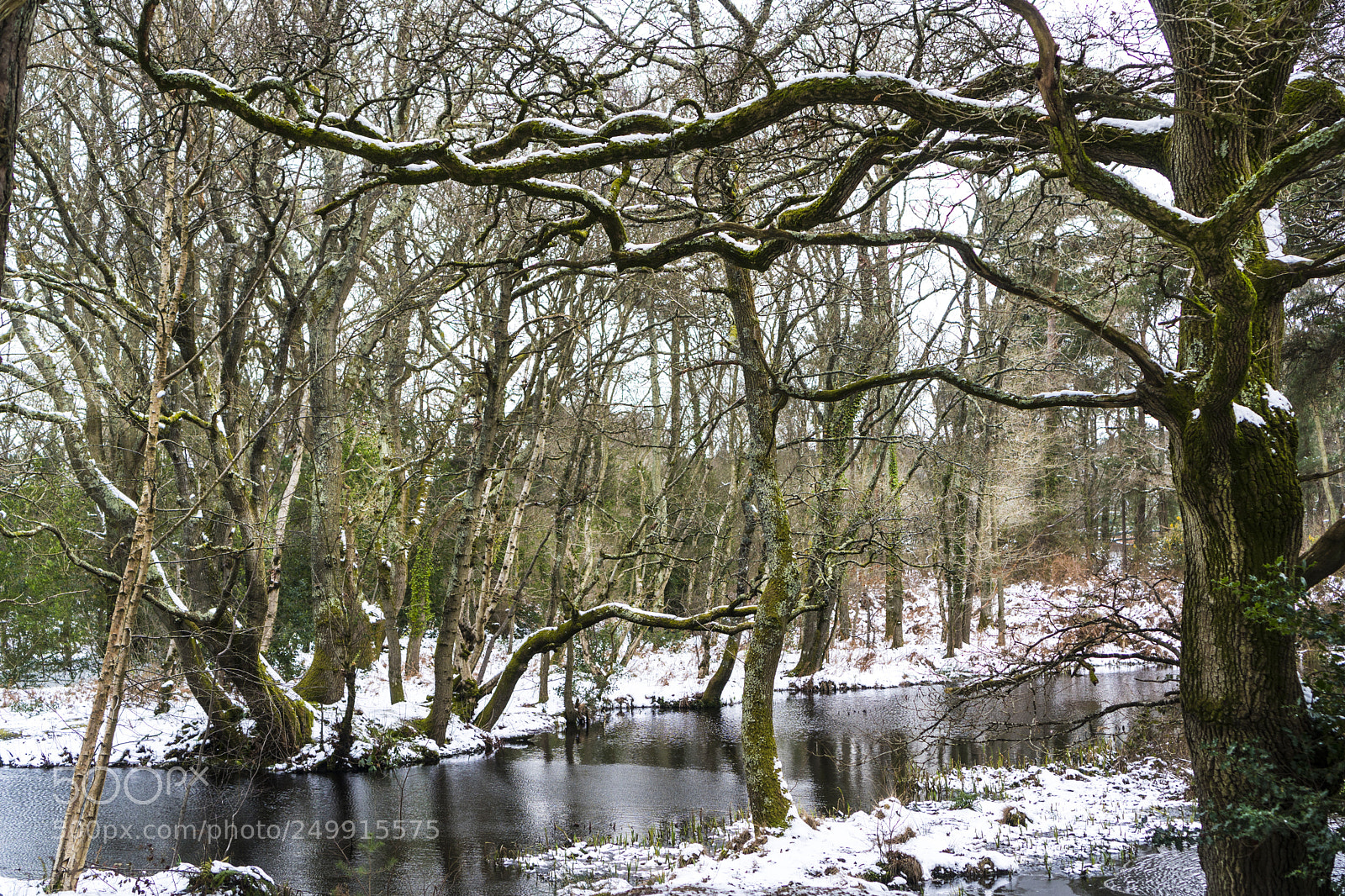 Sony a6300 sample photo. A winters tales photography