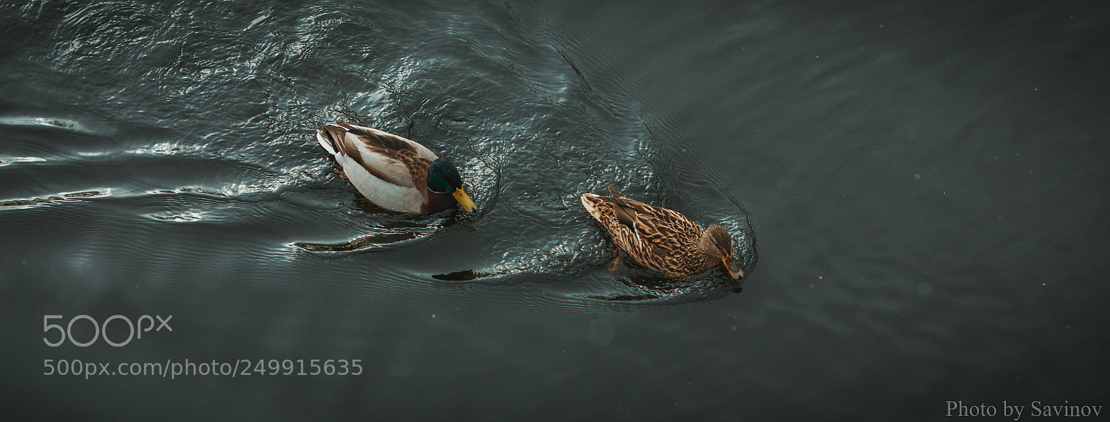 Canon EOS 50D sample photo. Down the river photography