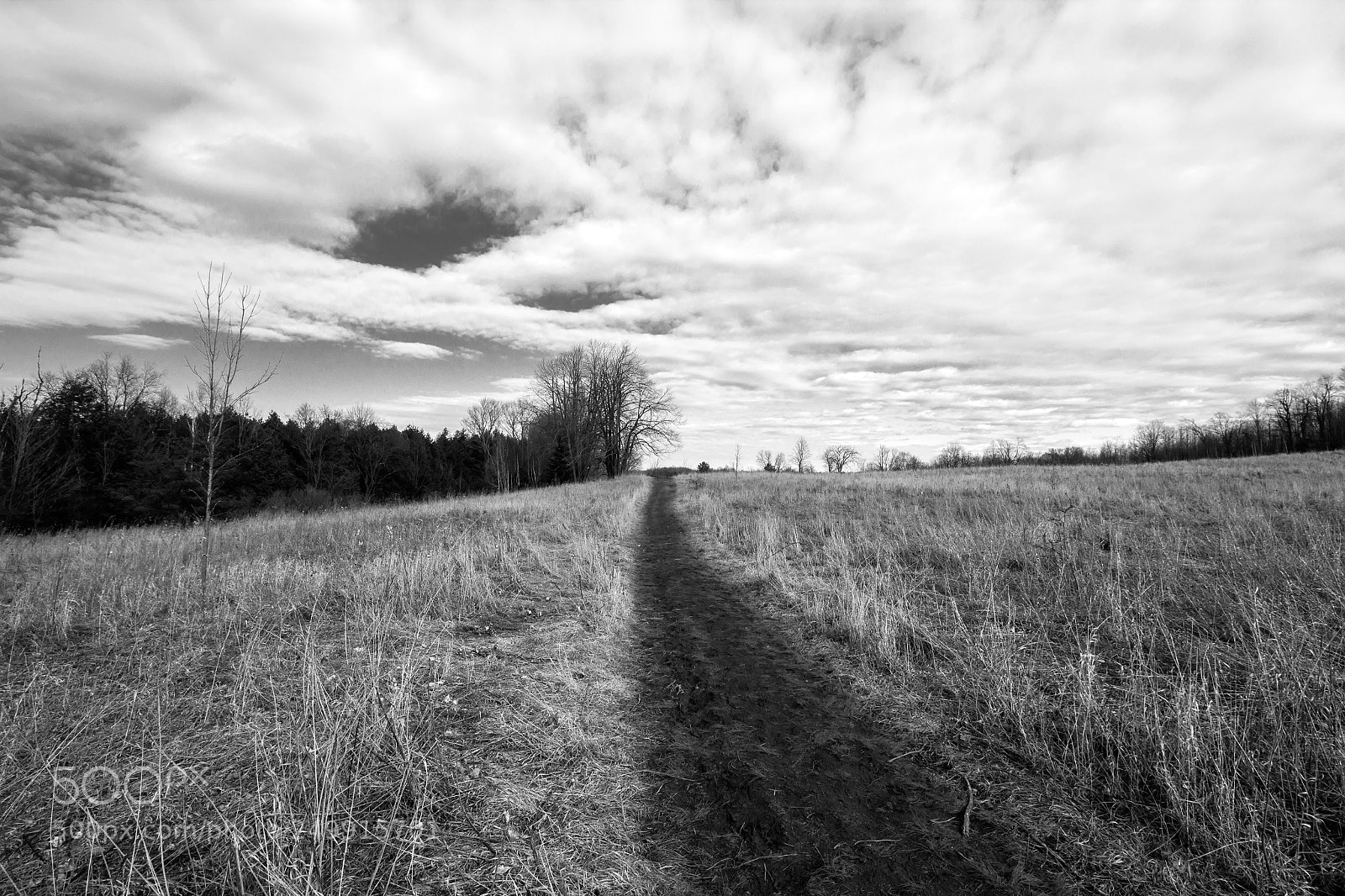Canon EOS 550D (EOS Rebel T2i / EOS Kiss X4) sample photo. Mono cliffs photography