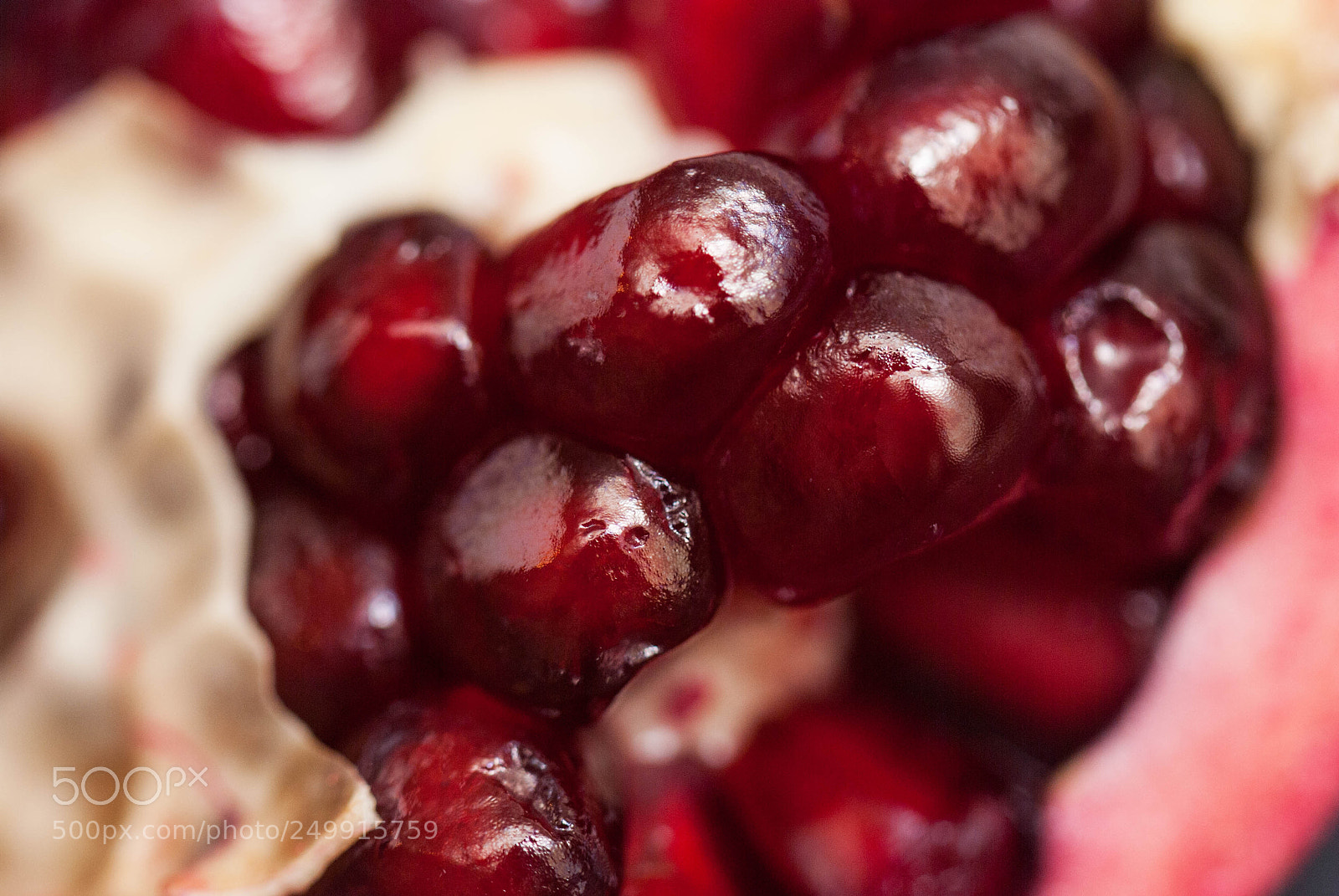 Nikon D80 sample photo. Macro of fresh peeled photography