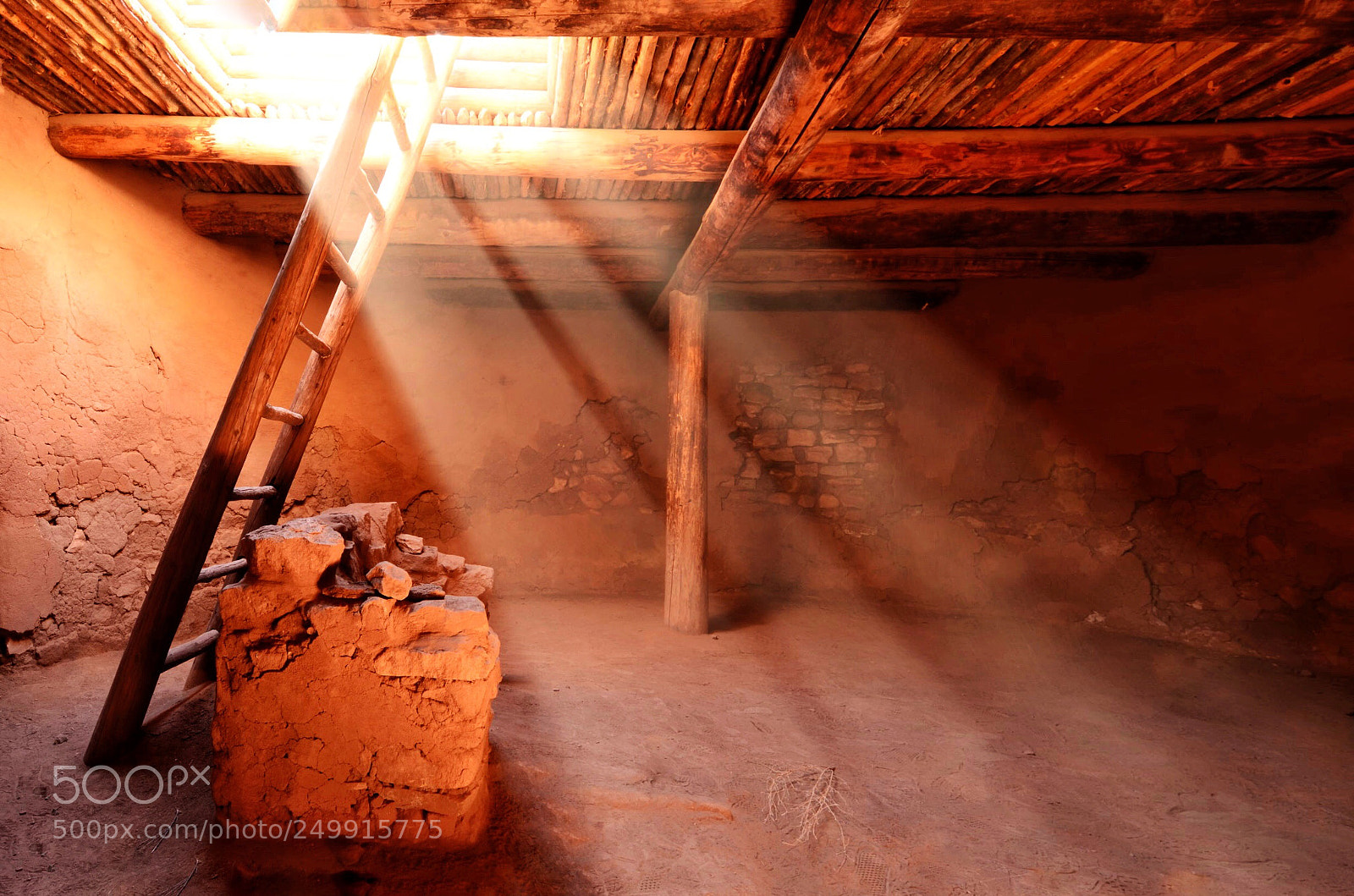 Nikon D7000 sample photo. Untitled photography