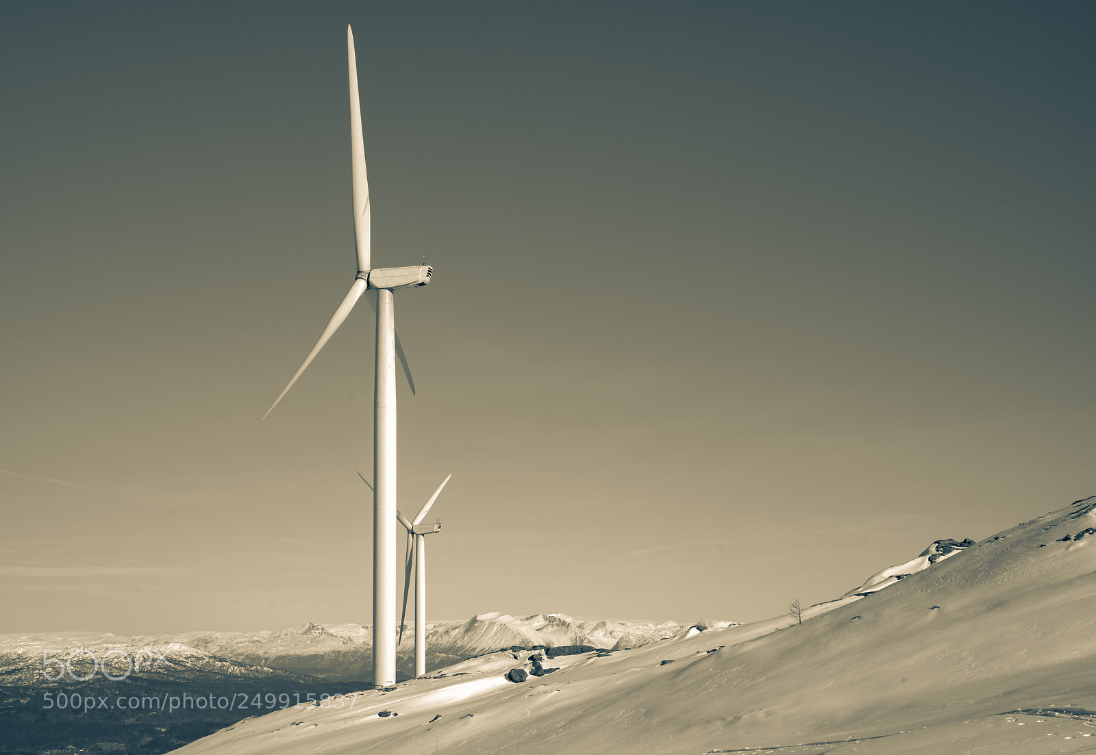 Sony a7 III sample photo. Windmills have the best photography
