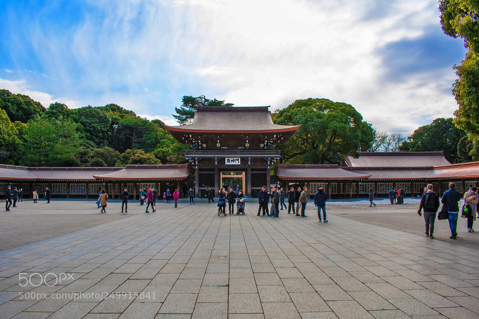 Nikon D3400 sample photo. Meiji jingu shrine  photography