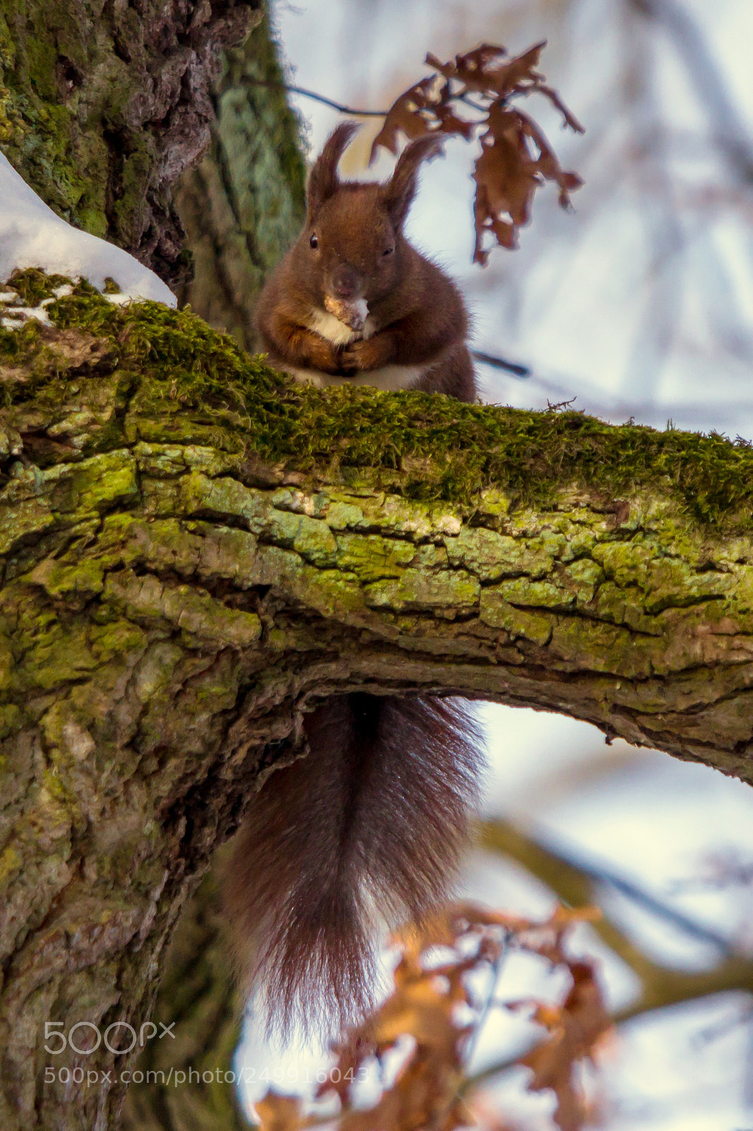 Sony a6000 sample photo. Noch eine nuff und photography