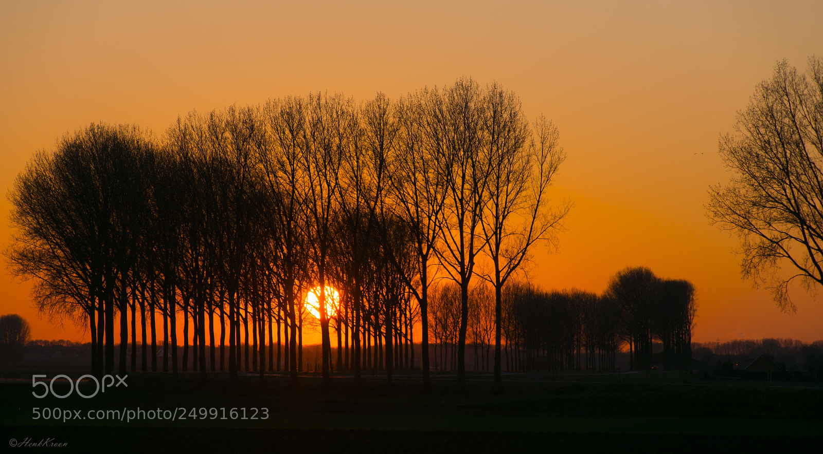 Nikon D7200 sample photo. Voorbode van de lente.. photography