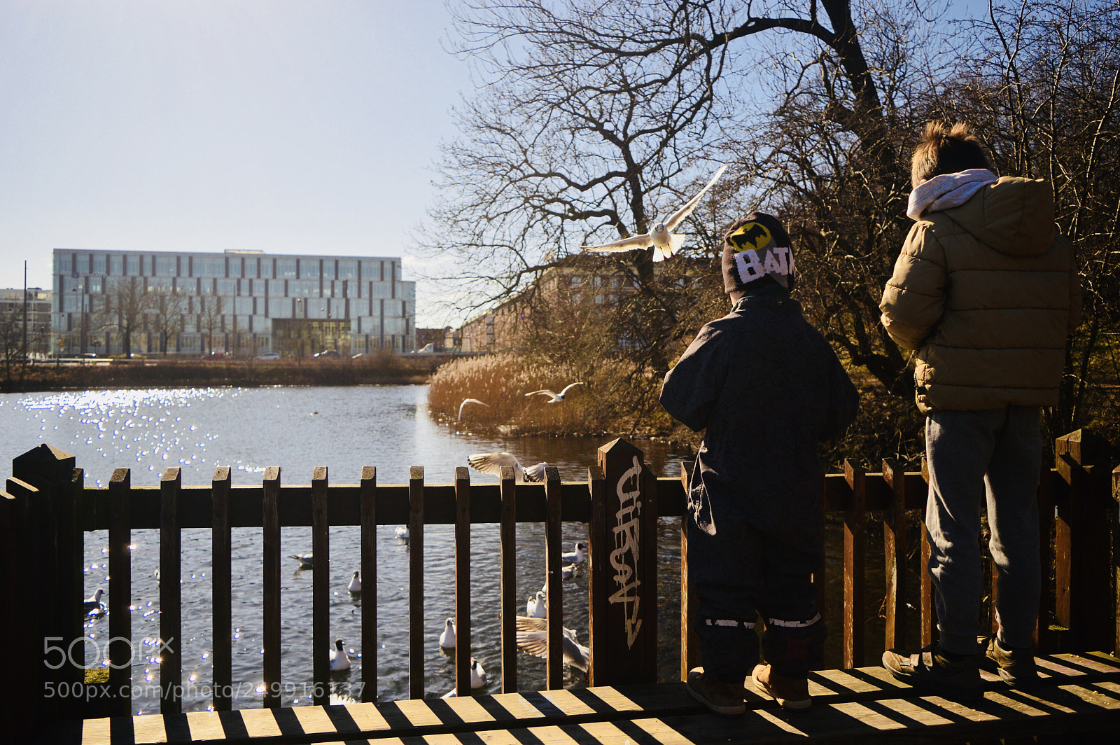 Nikon D3200 sample photo. Feeding the ducks photography