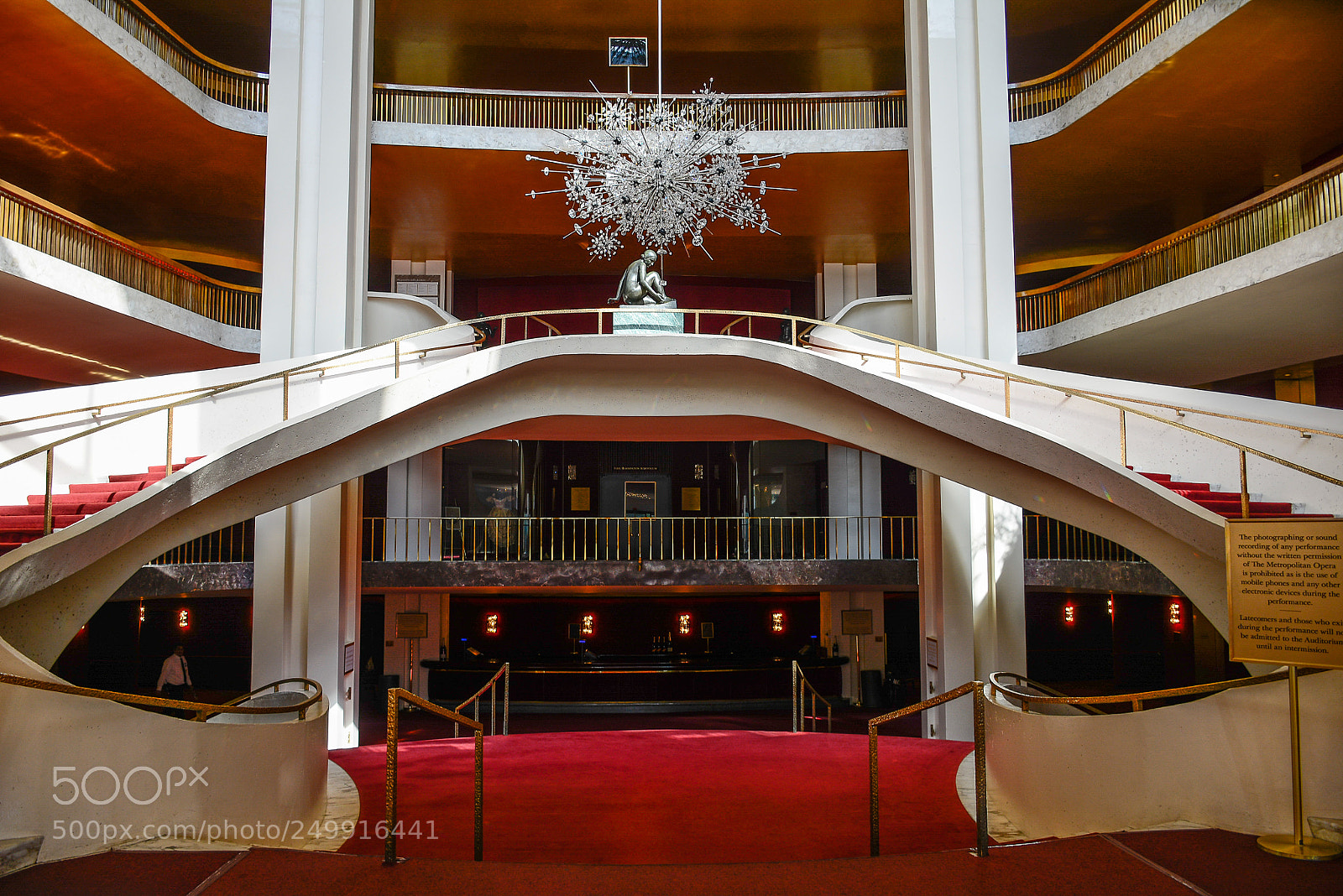 Nikon D5200 sample photo. Hall (opera house nyc) photography