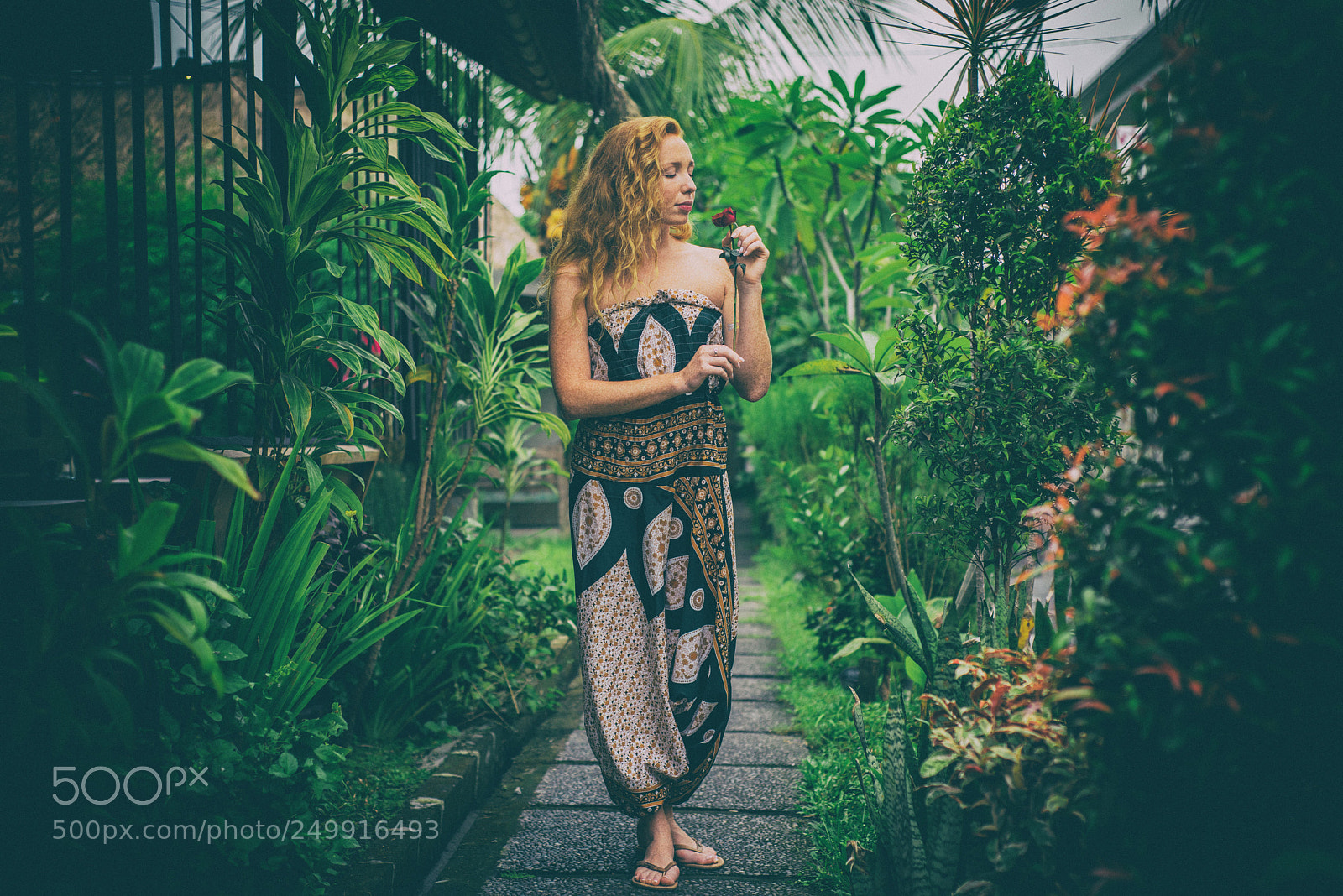 Nikon D810 sample photo. Harmony photography