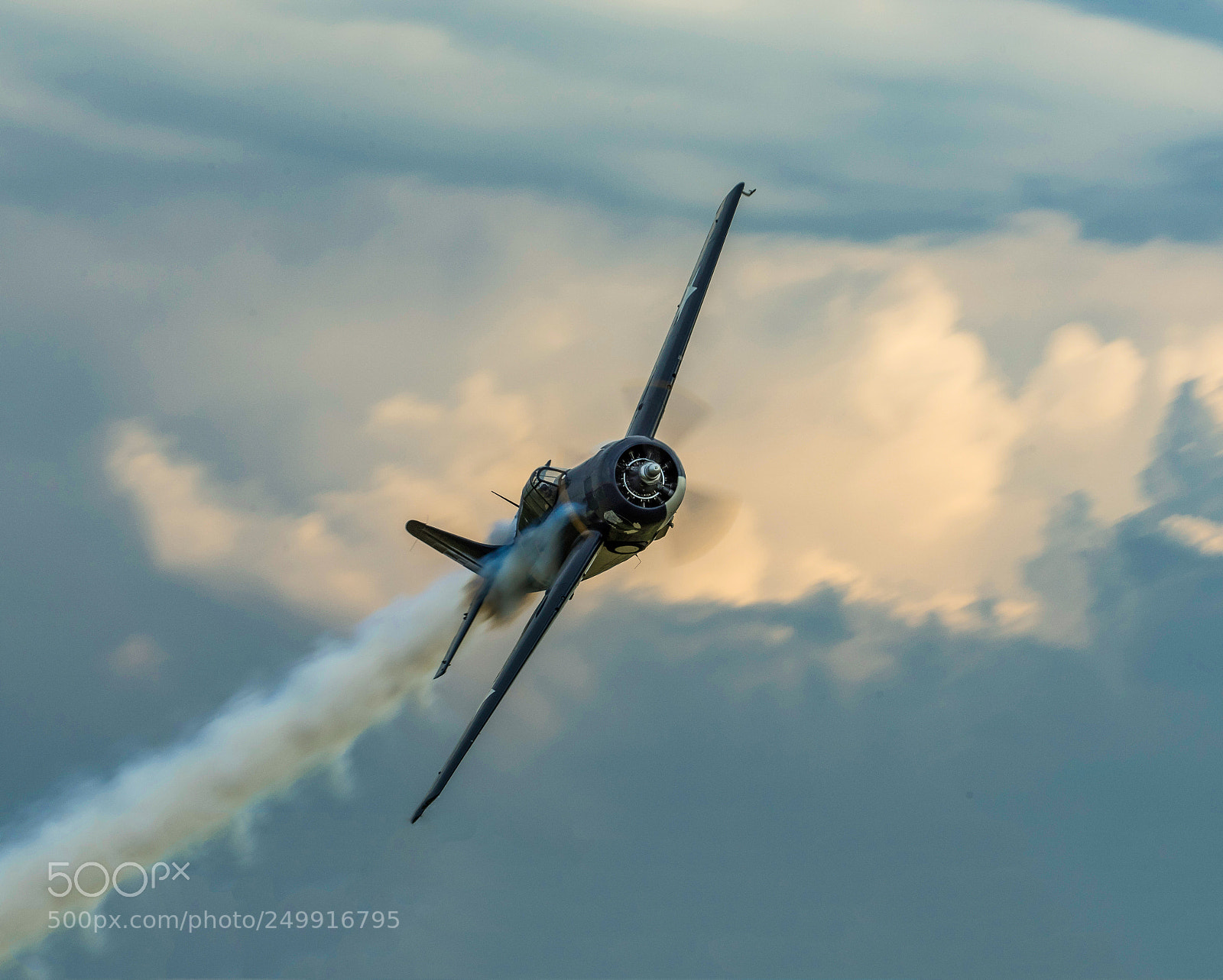 Nikon D810 sample photo. Wildcat knife edge pass photography